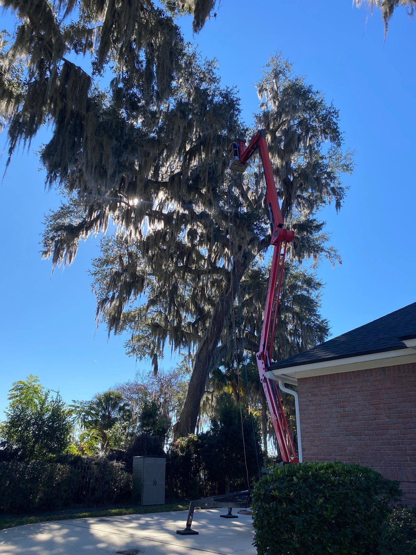 Residential | Tree Service by ProGreen Services