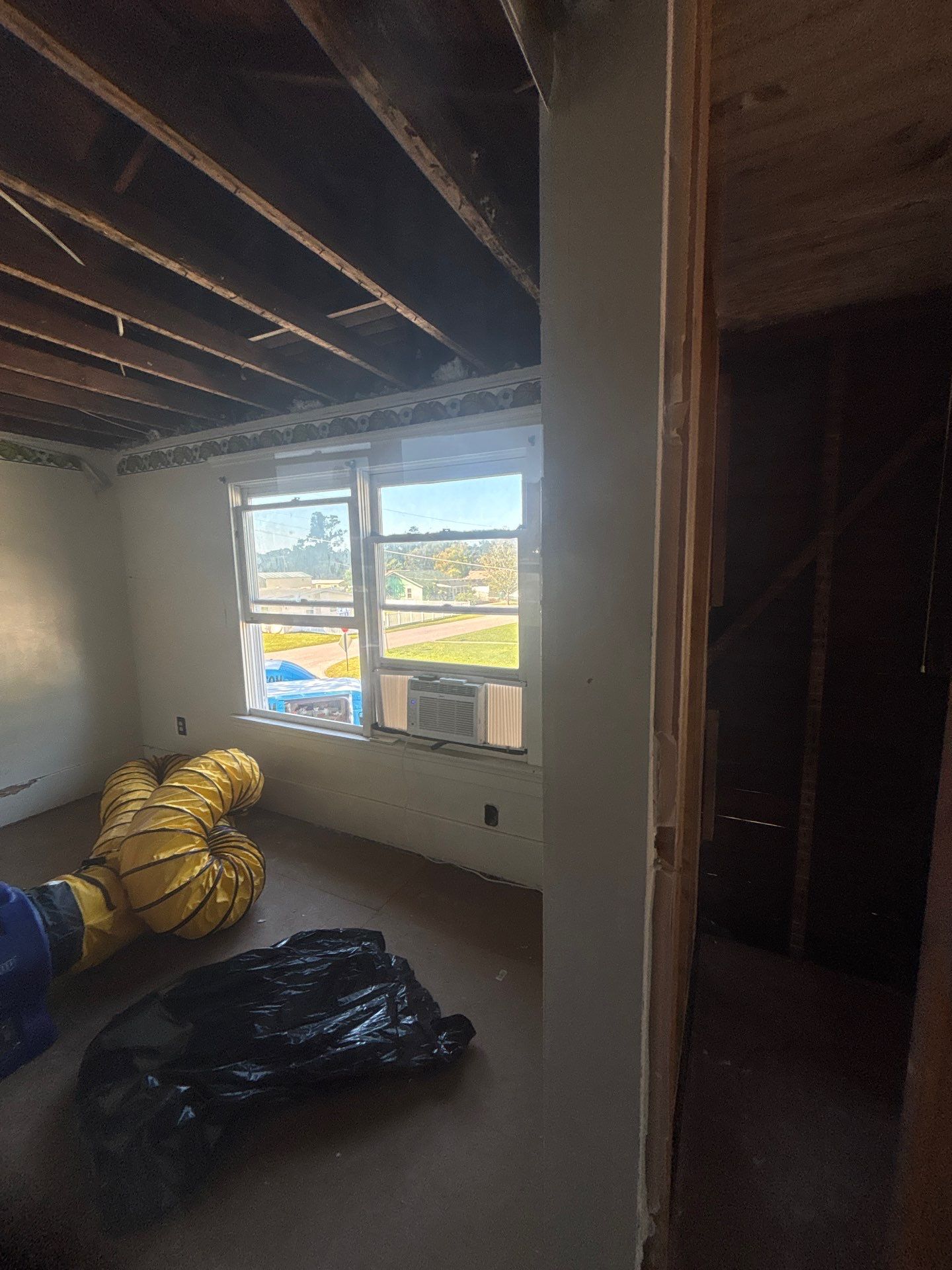 Mold Damage Inspection And Removal In Palmetto, FL by Ampm Restoration Services
