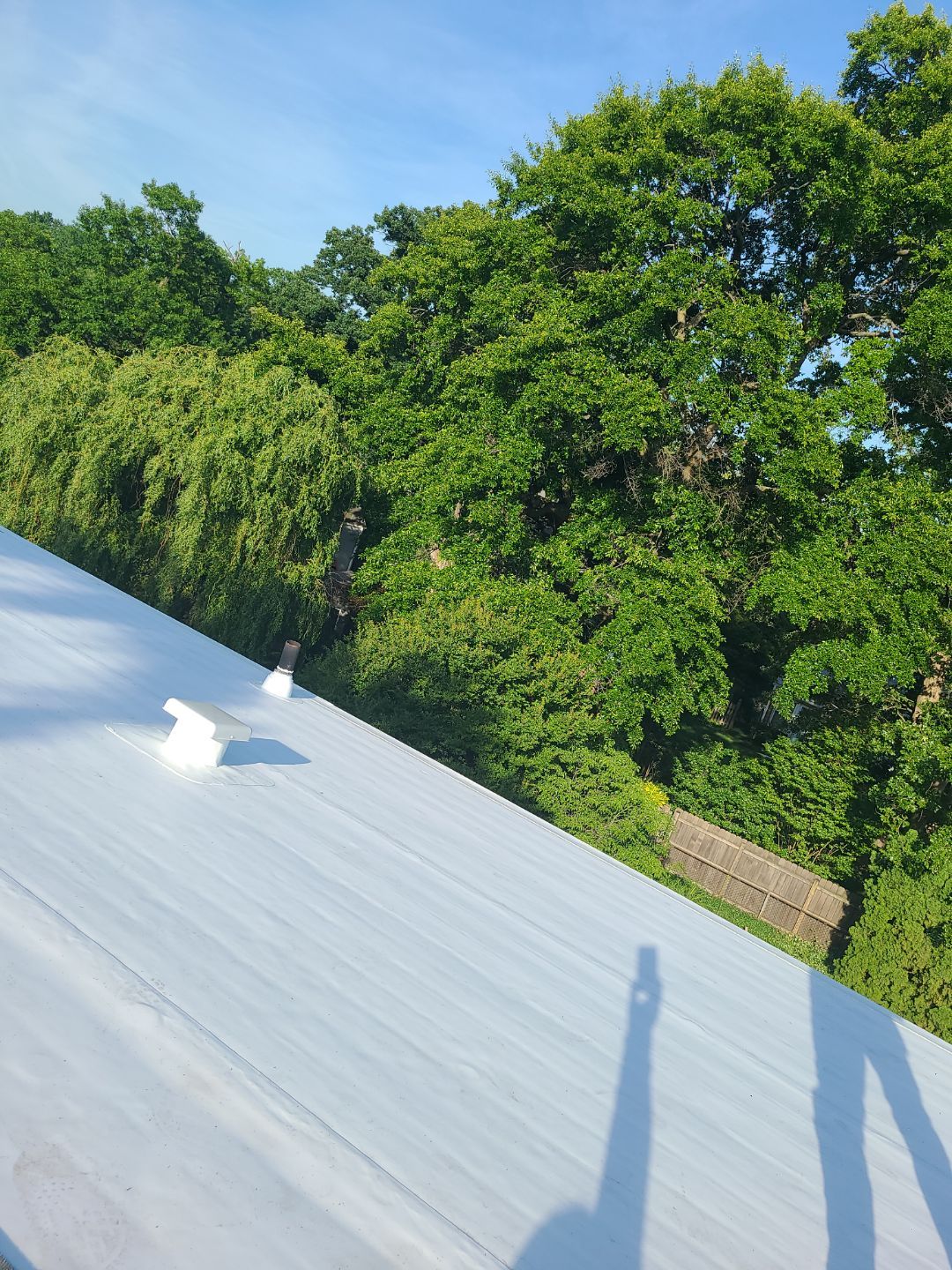 Alexandria: Mule Hide TPO Flat Roof by RM Banning, Inc.