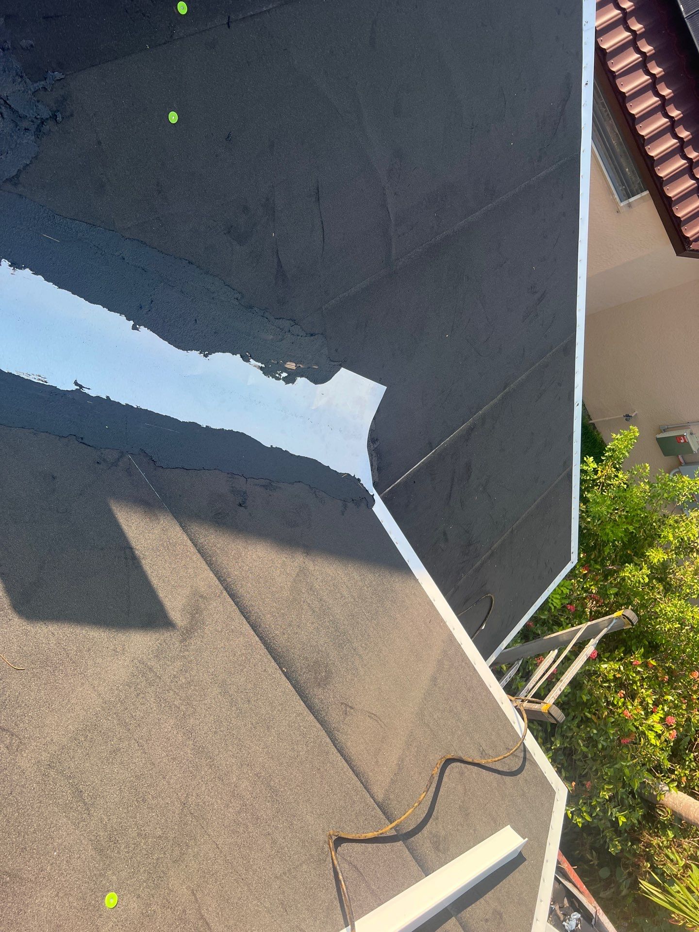 Tamko Titan Shingles by Durabilis Roofing INC