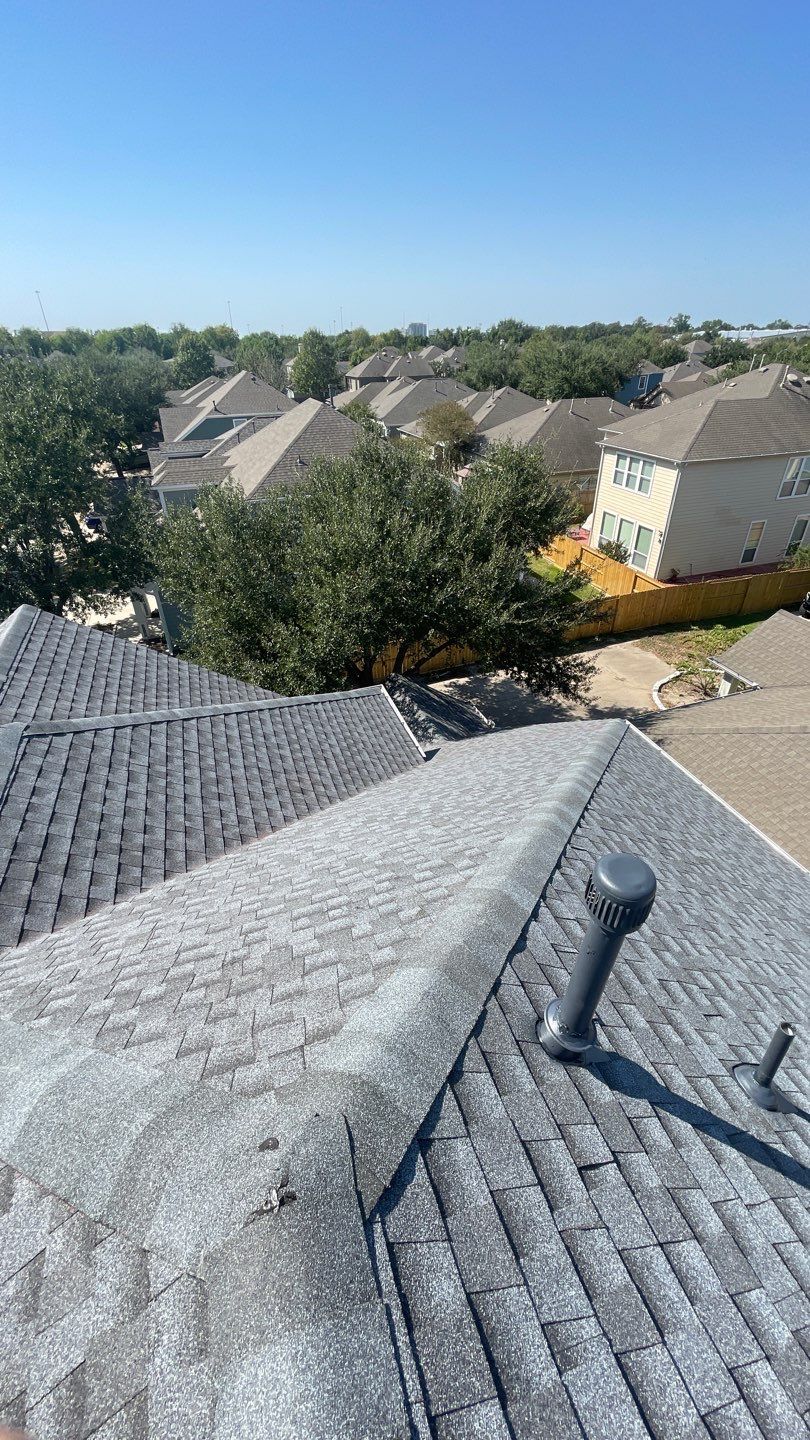 Jules F. by Boss Hogg Roofing