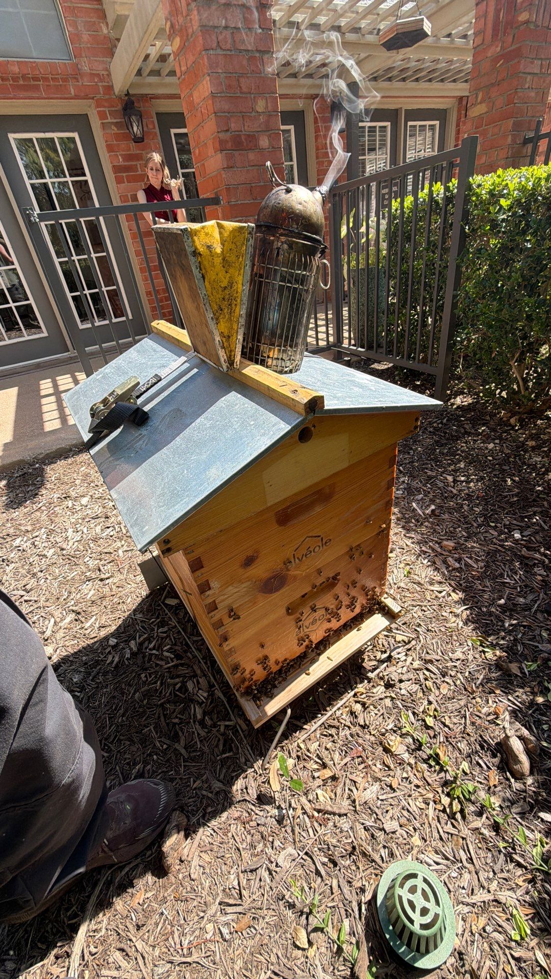 Apartment Retreat for Honey Bees in Garland by Rockwall Honey Bee Company