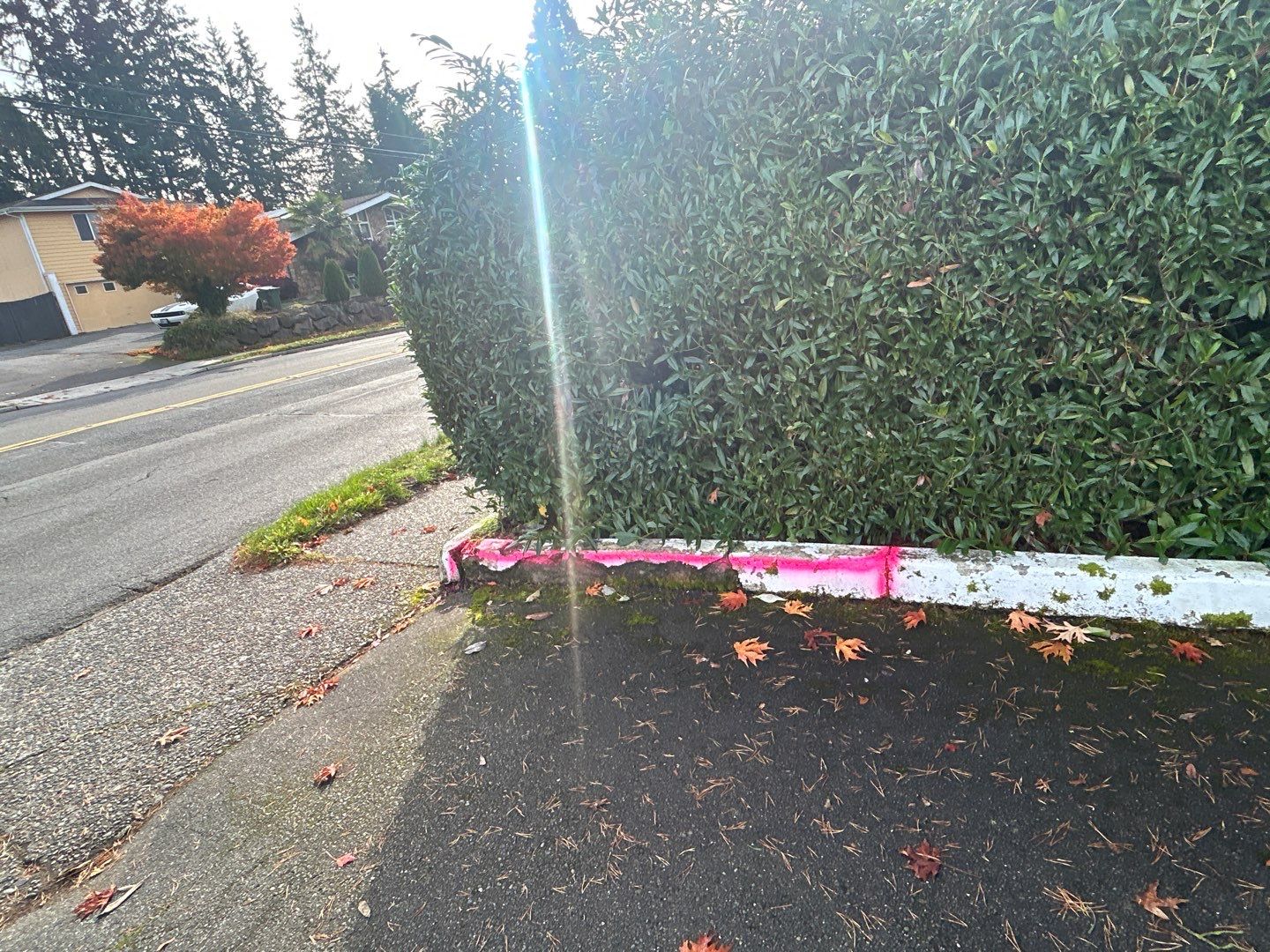 Lakeshore Investment | Parking Lot Repaving | Asphalt Project by Jireh Asphalt & Concrete Inc 