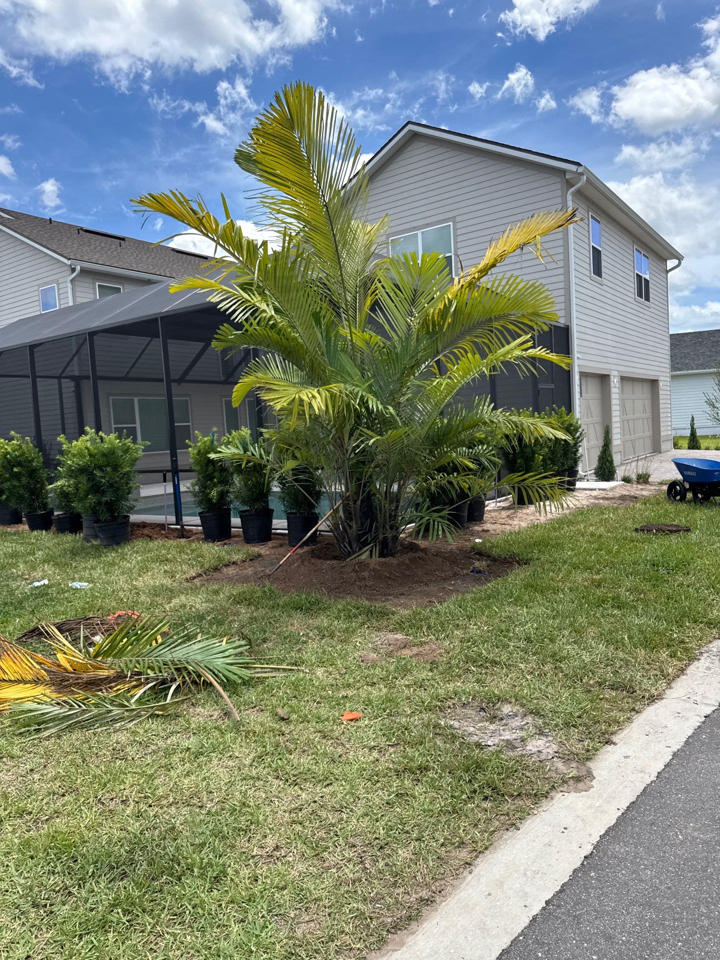 Residential | Sod Install by ProGreen Services