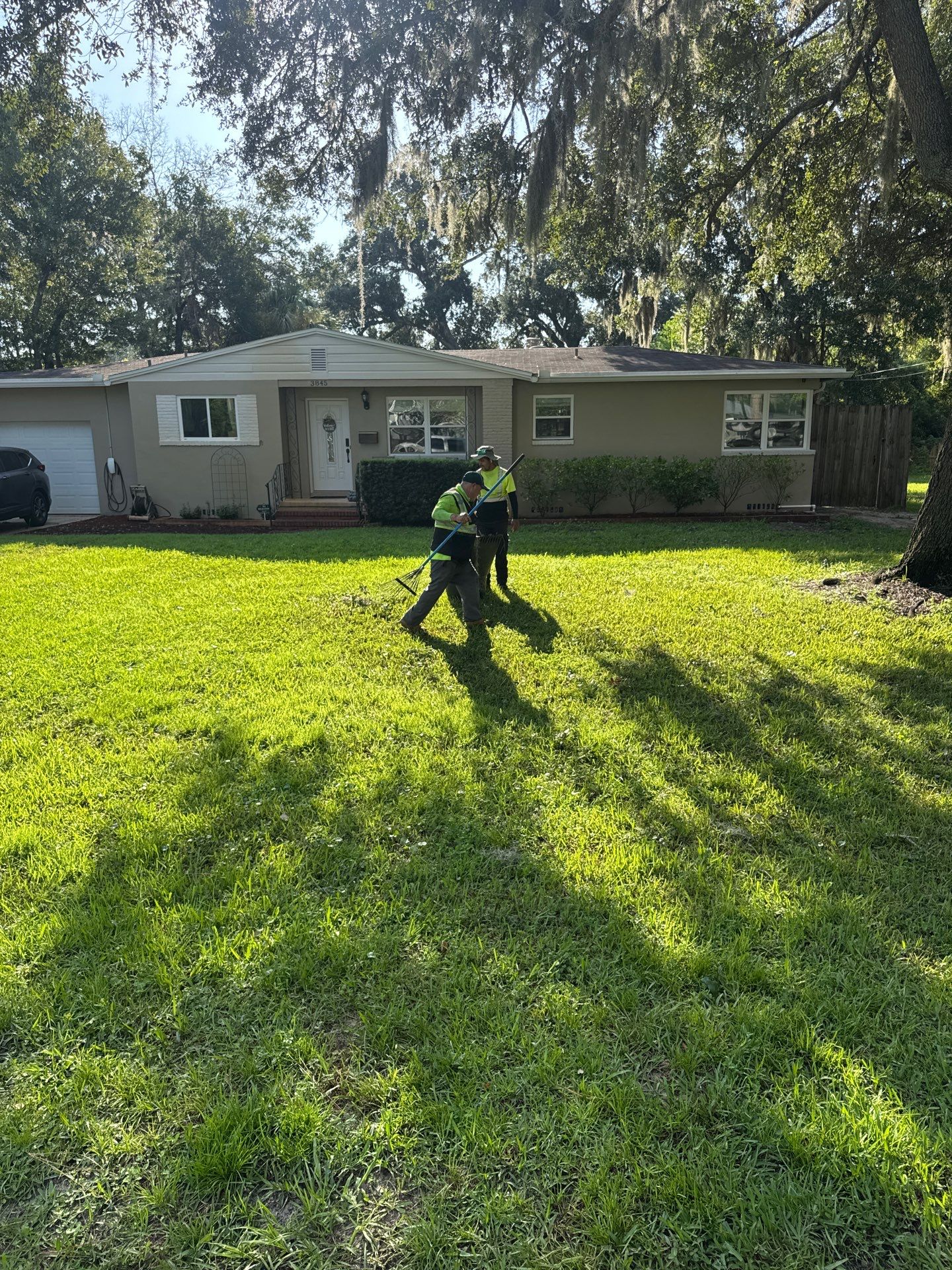 Residential | Tree Trimming  by ProGreen Services