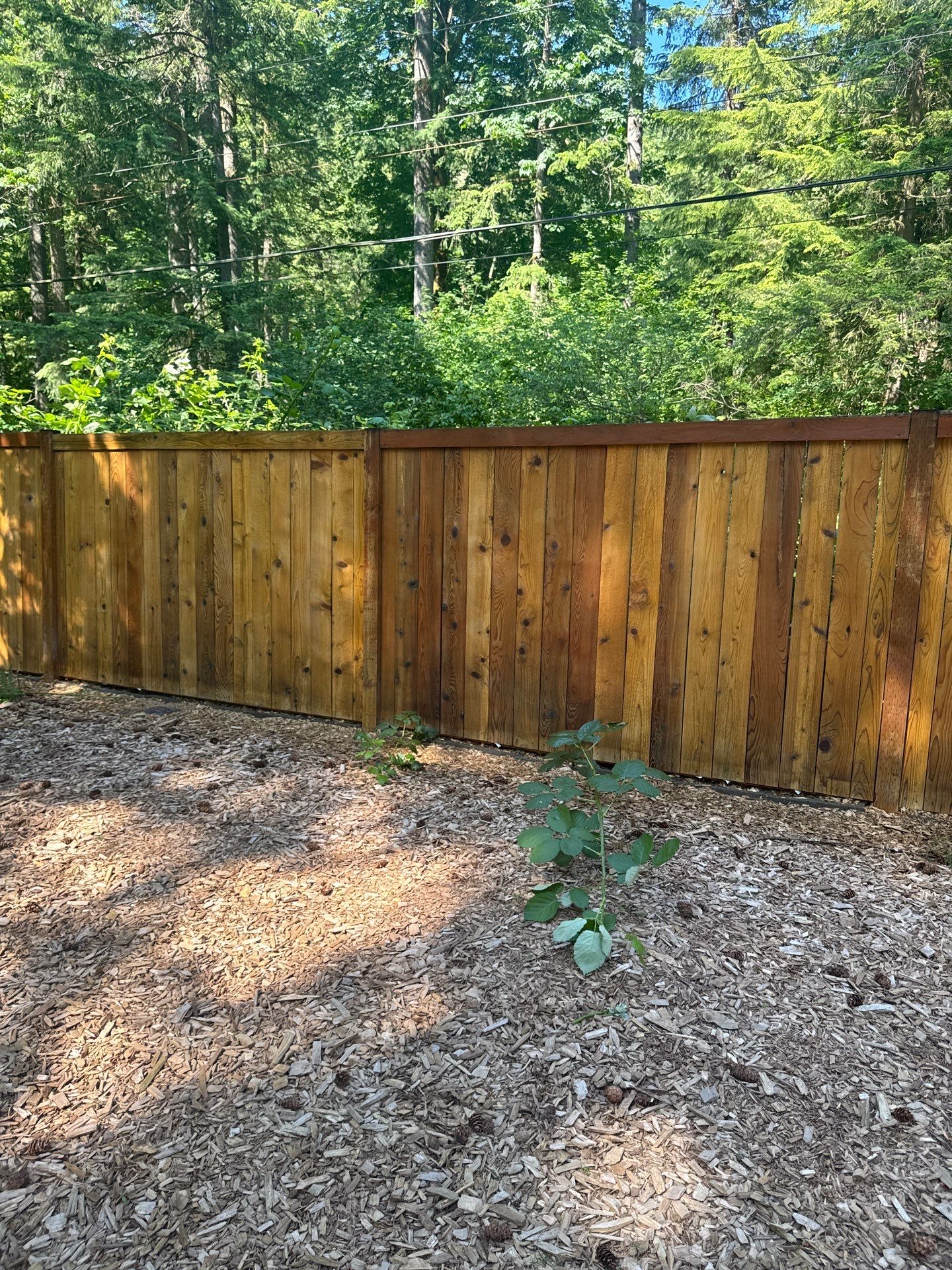 Project in North Bend by Clean Buildings