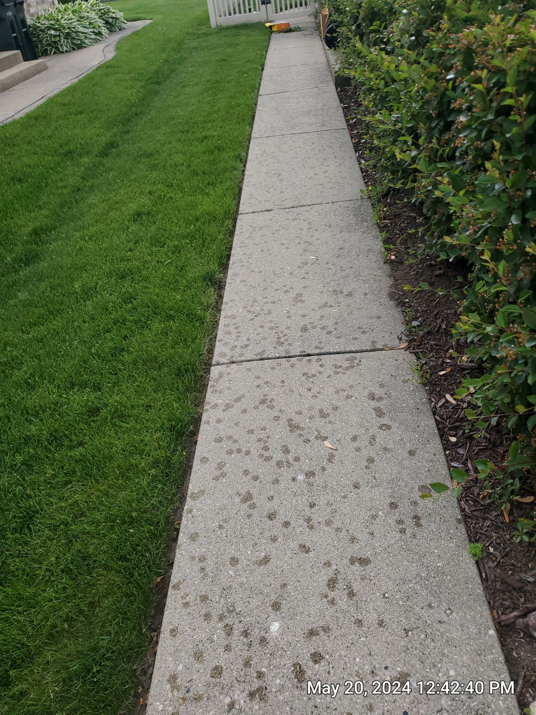 concrete power washing Algaecide, soft wash soap by Northern Power Washing LLC.