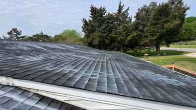 Project in Petersburg