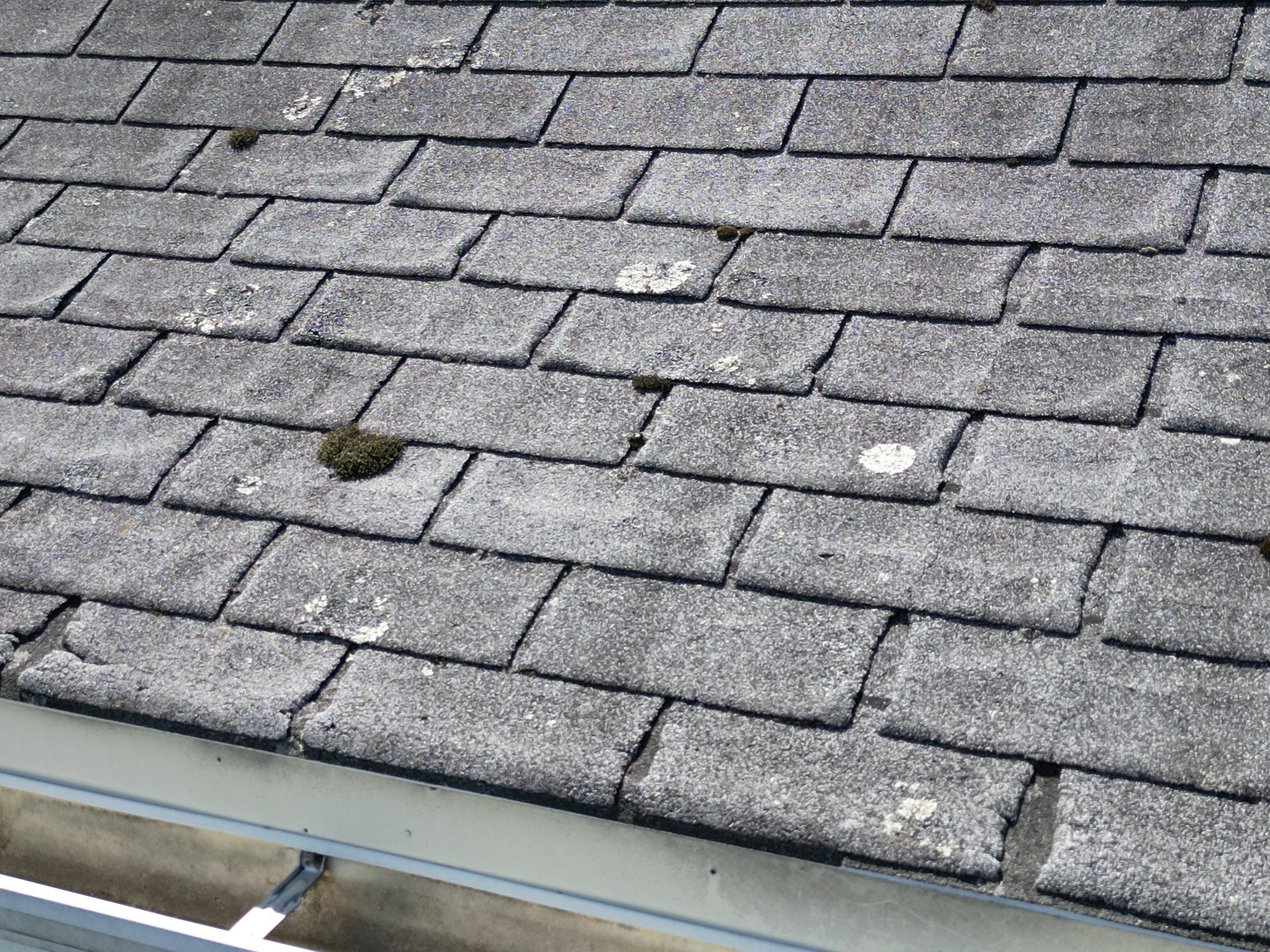 Roof Replacement with Skylight Flashing in Waltham, MA by Mighty Dog Roofing of Greater Middlesex County