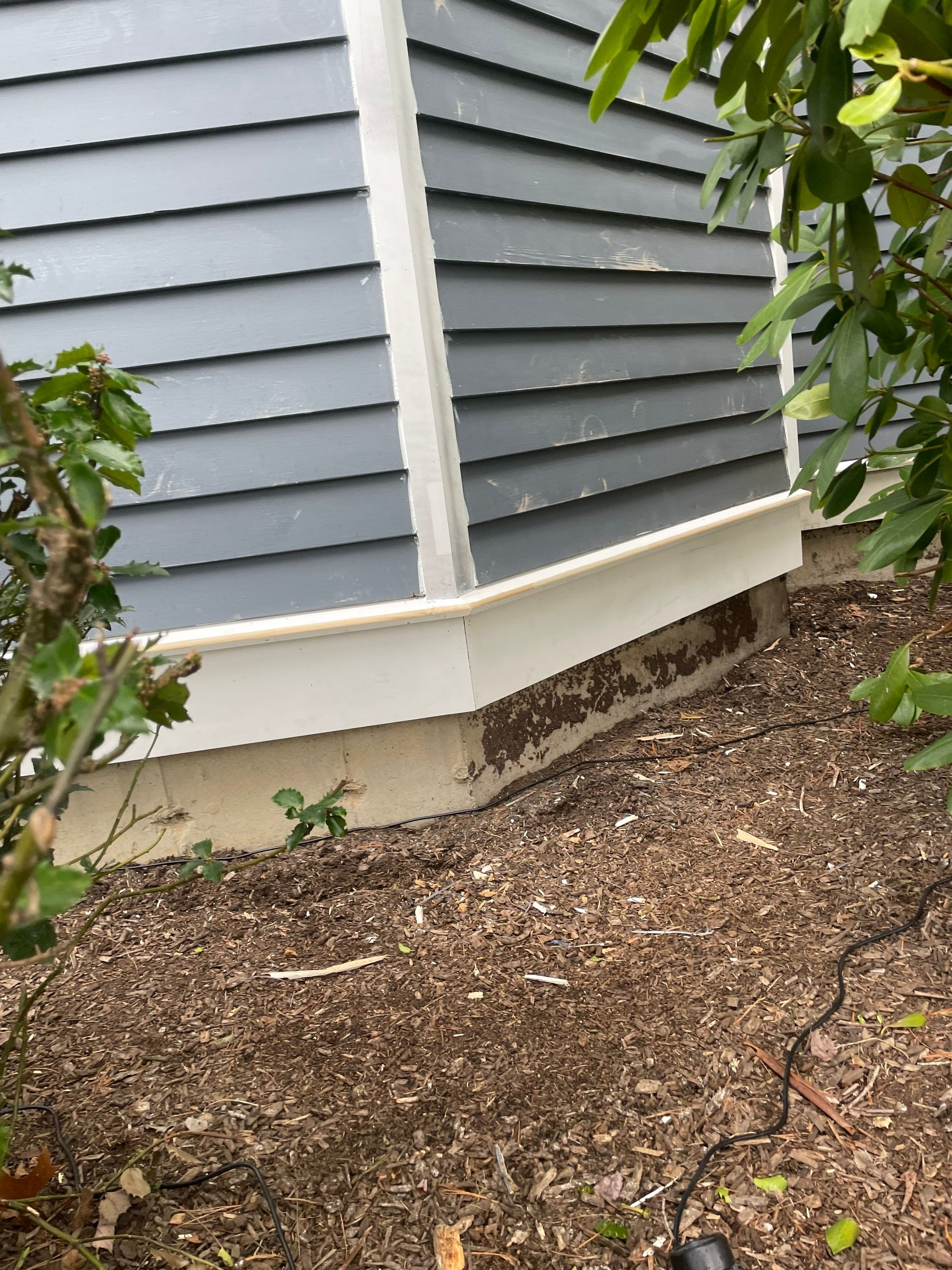 Exterior Painting & Carpentry Repairs by EXCELLENCE | CARTO