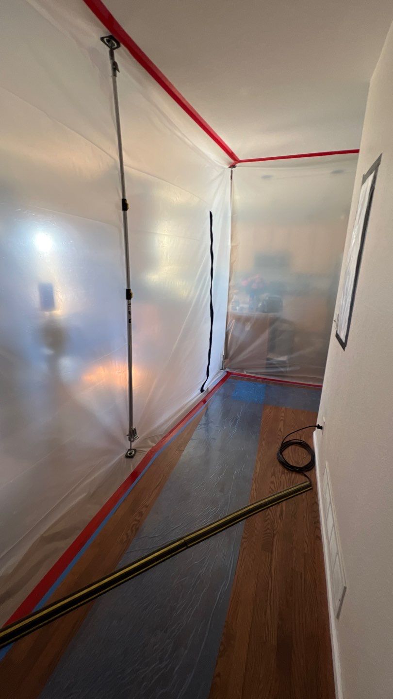 Mold Remediation by Accountable Home Services