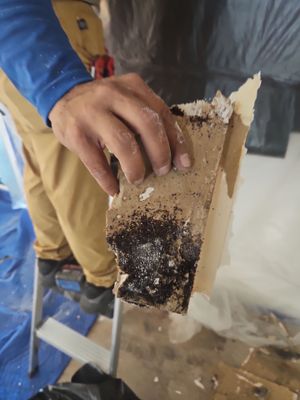 Commercial Water Damage Restoration In Bradenton