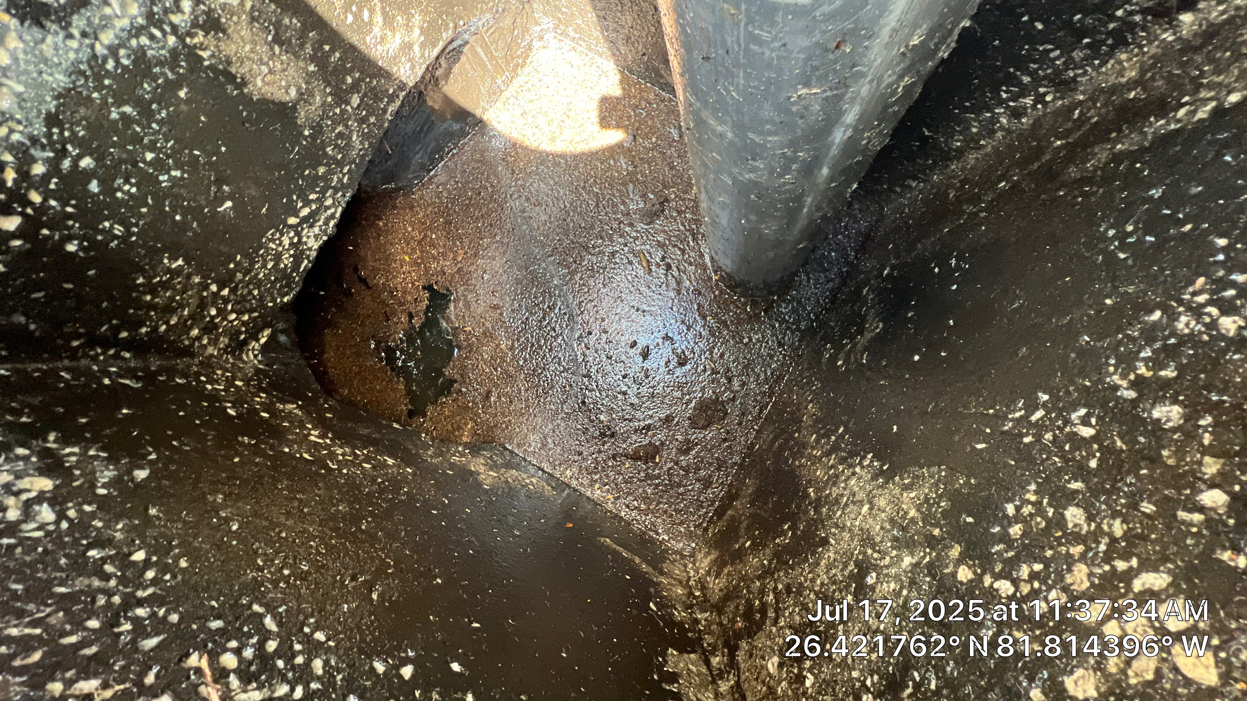 Catch Basin Cleaning with 1 Tom Plumber in Estero by APS Power & Water