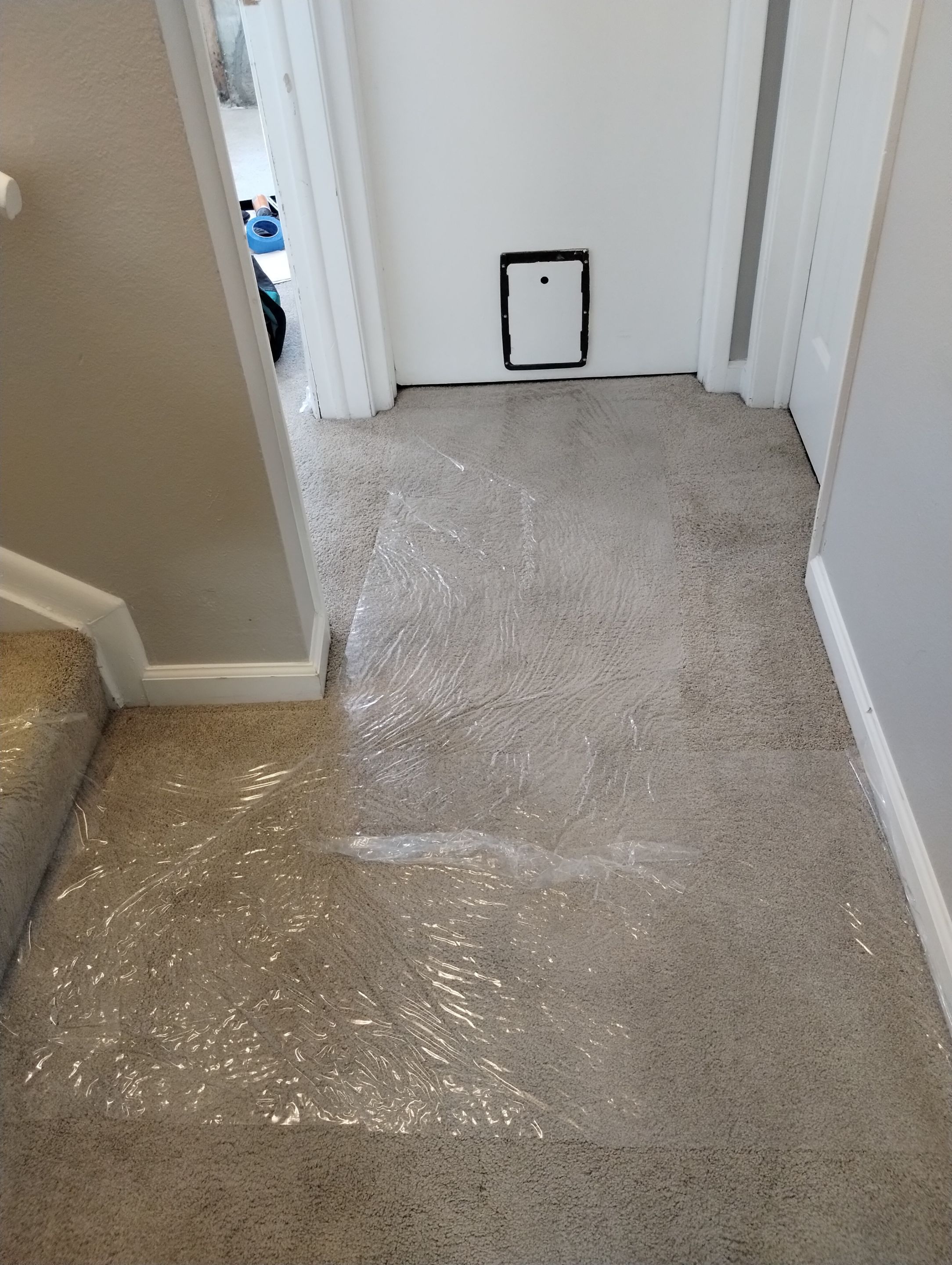 Mold Damage Repairs by Accountable Home Services