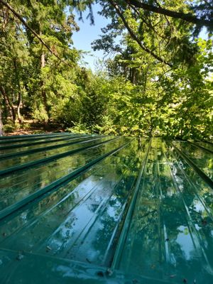 Roof Treatment using Biocide