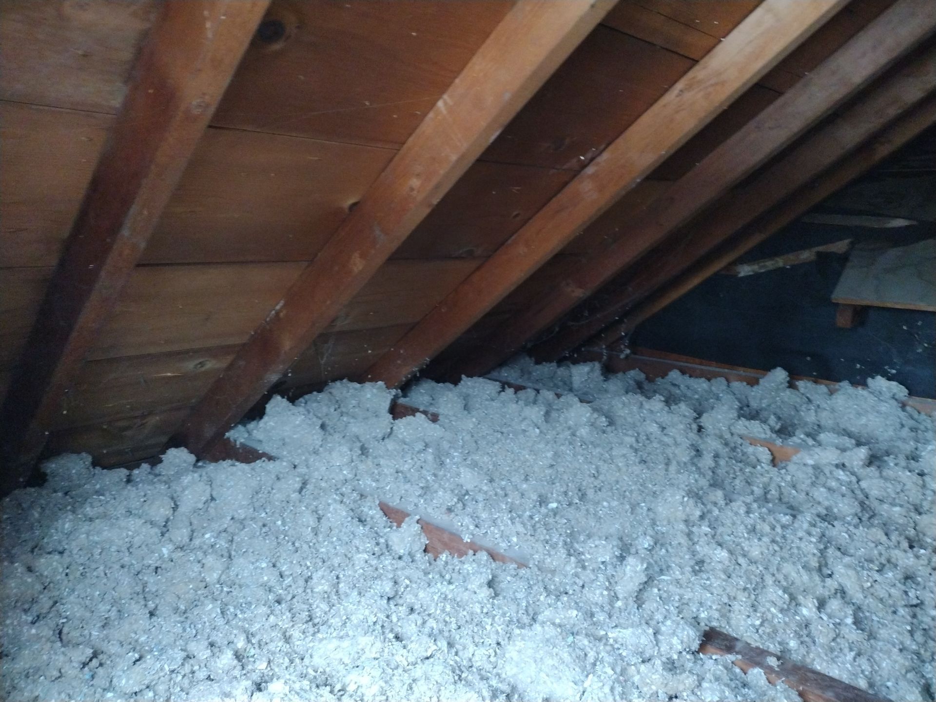 Three-Season Porch Renovation – Complete Structural Transformation by Johnny Five Construction