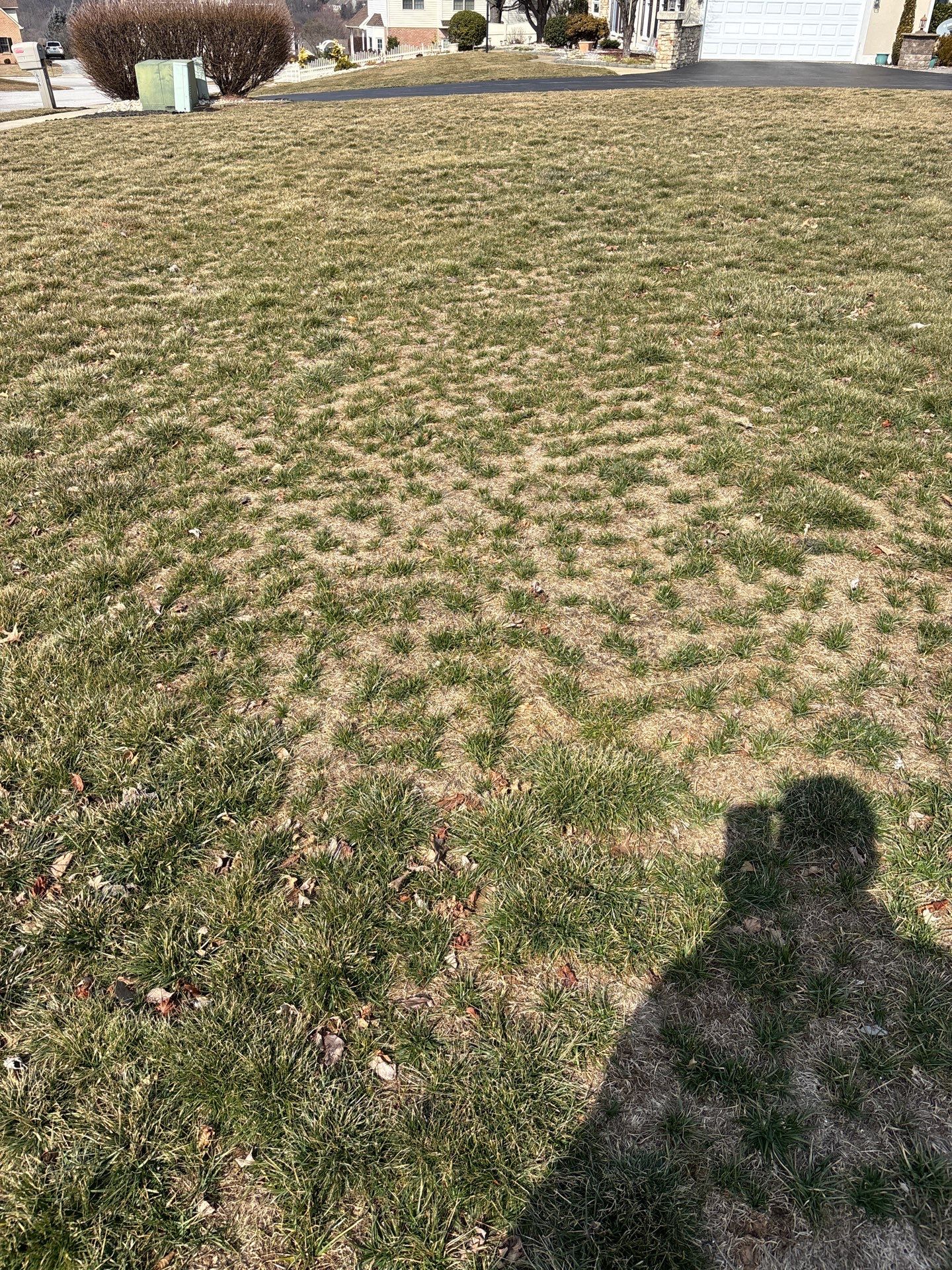 York Pa by Go Green CLC