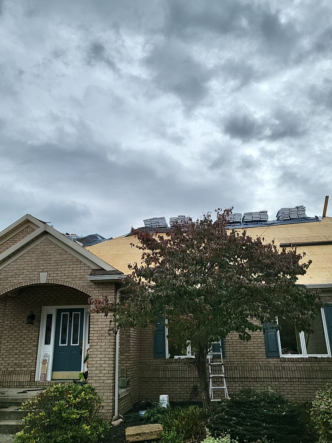ATLAS PINNACLE COLOR: BLACK SHADOW, DRIP EDGE: BLACK by Eagle Eye Roofing