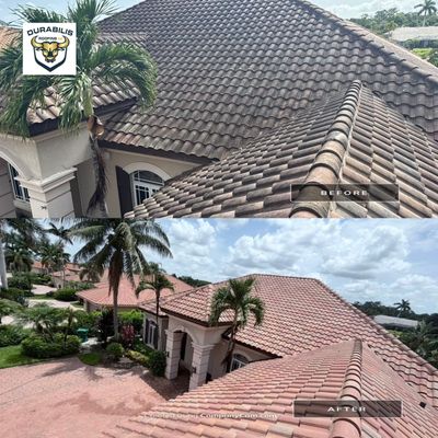 Tile Roof Soft Wash