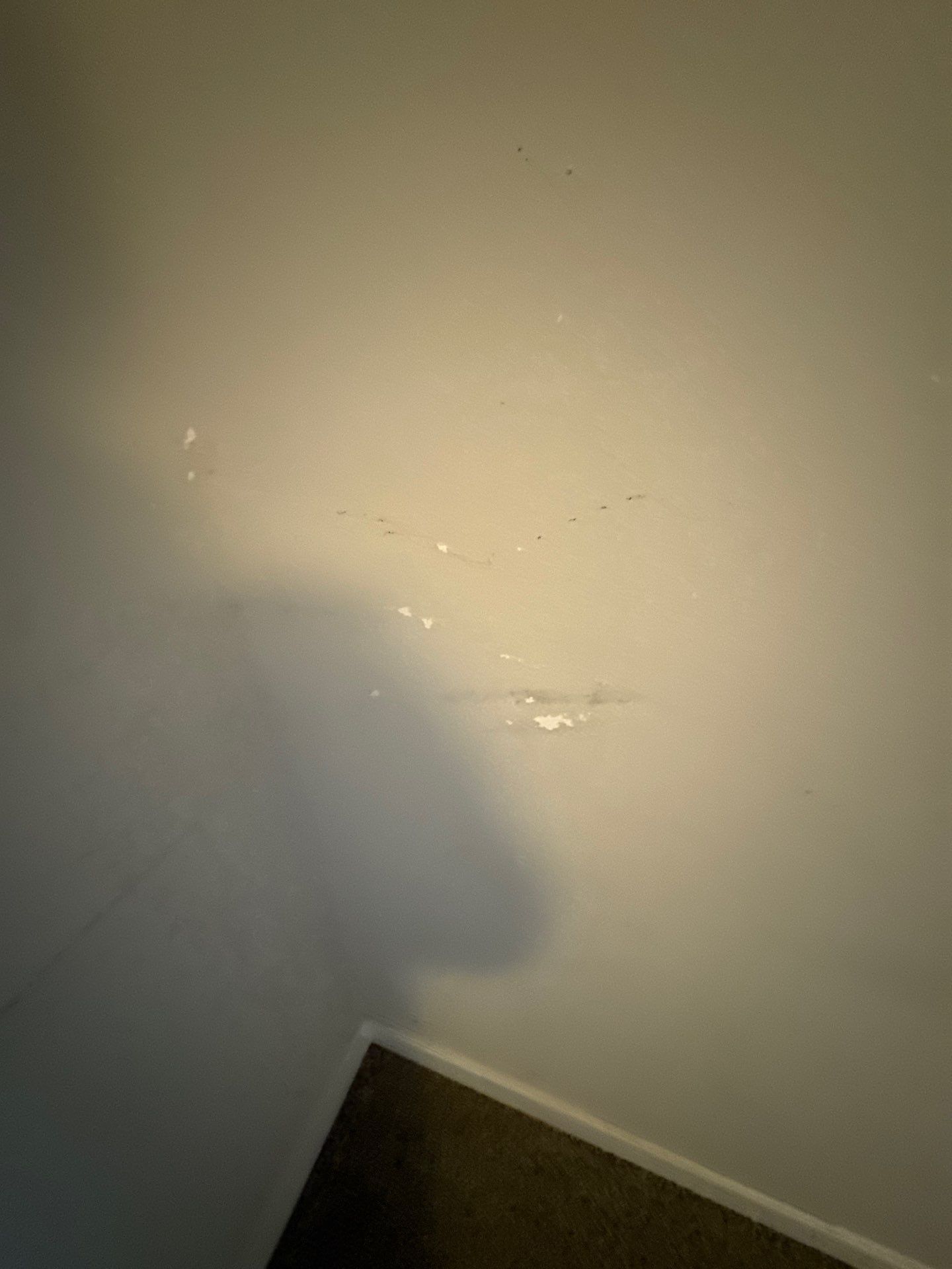 Project in Ankeny by Midwest Paint LLC
