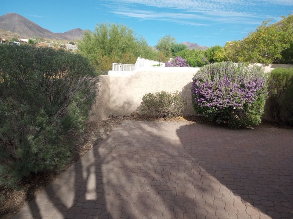 Exterior Painting Job in Fountain Hills by Crash of Rhinos Painting & Garage Floors