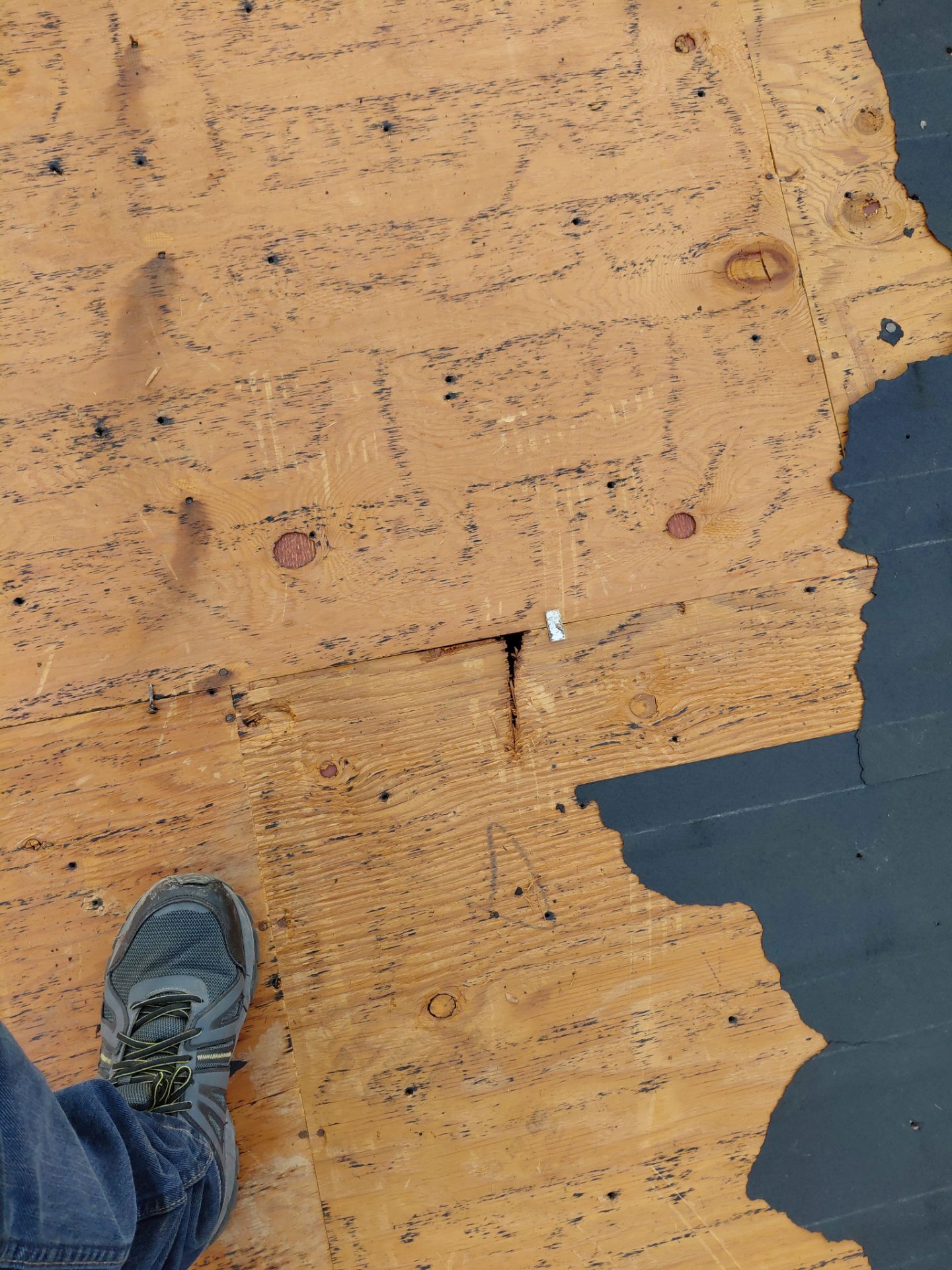 Alexandria : Residential Roof Replacement with CertainTeed Landmark Pro in Max Def Weathered Wood by RM Banning, Inc.