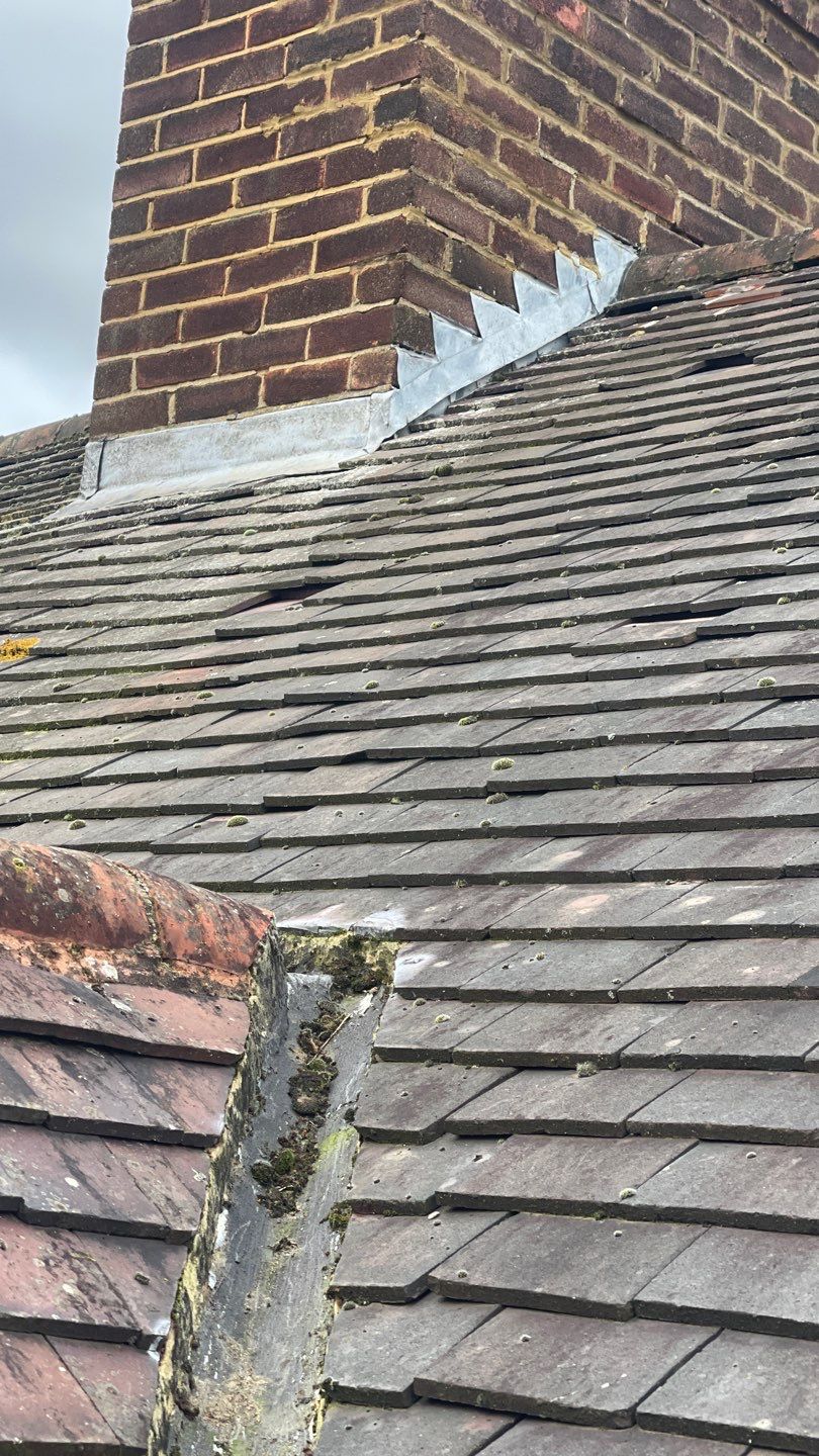 Roof Scraping- Moss Remaval - Biocide using Moss Scraper Blades by Ges Exterior Cleaning ltd