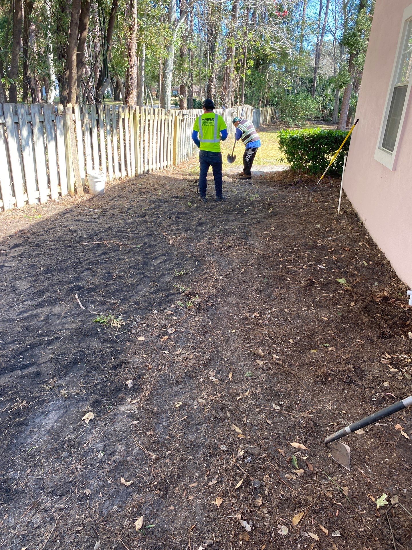 Deerwood Resident | Tree Removal & Clean-Up by ProGreen Services