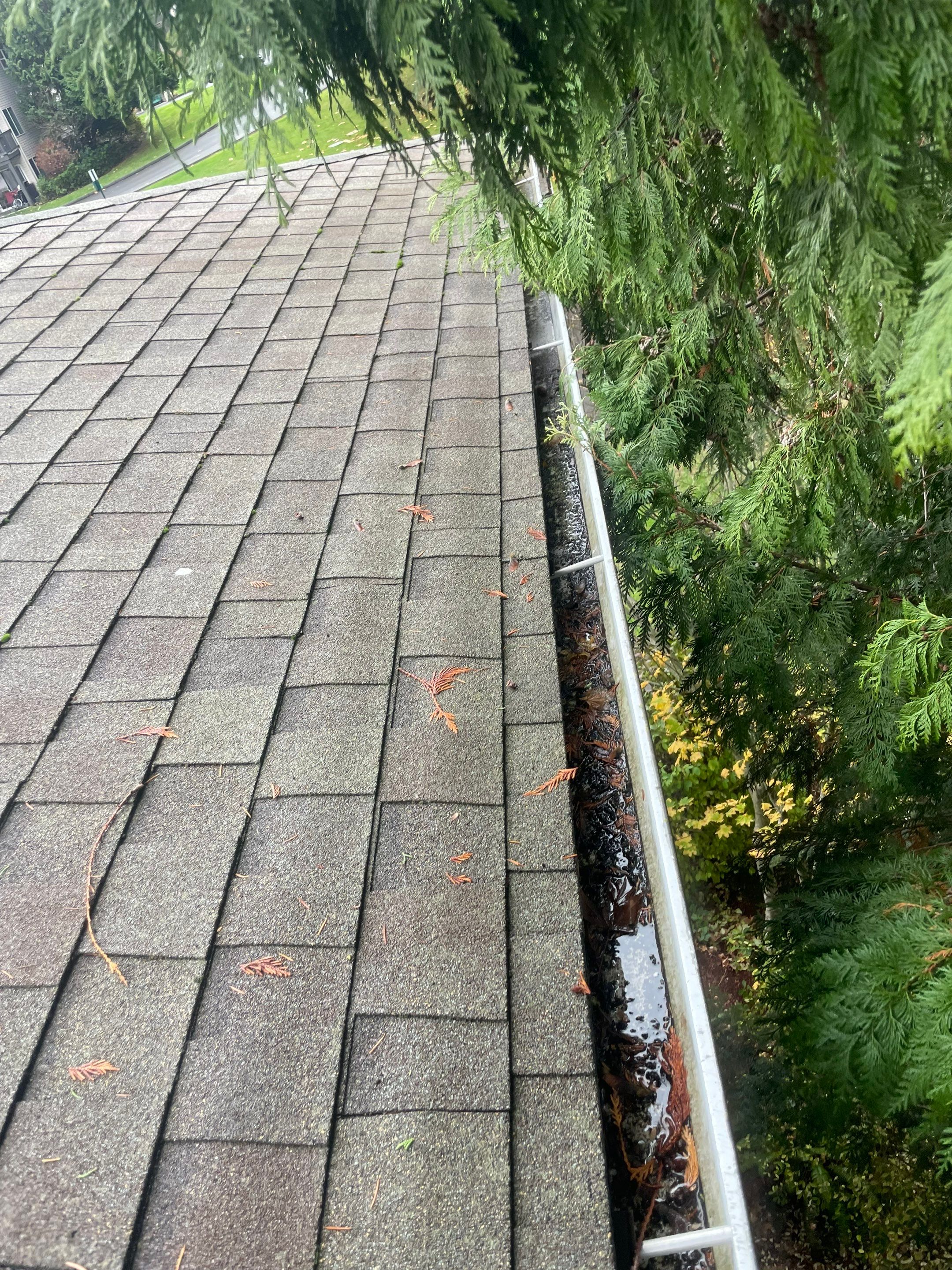 Commercial gutter cleaning Tacoma, WA before photo with filled gutters