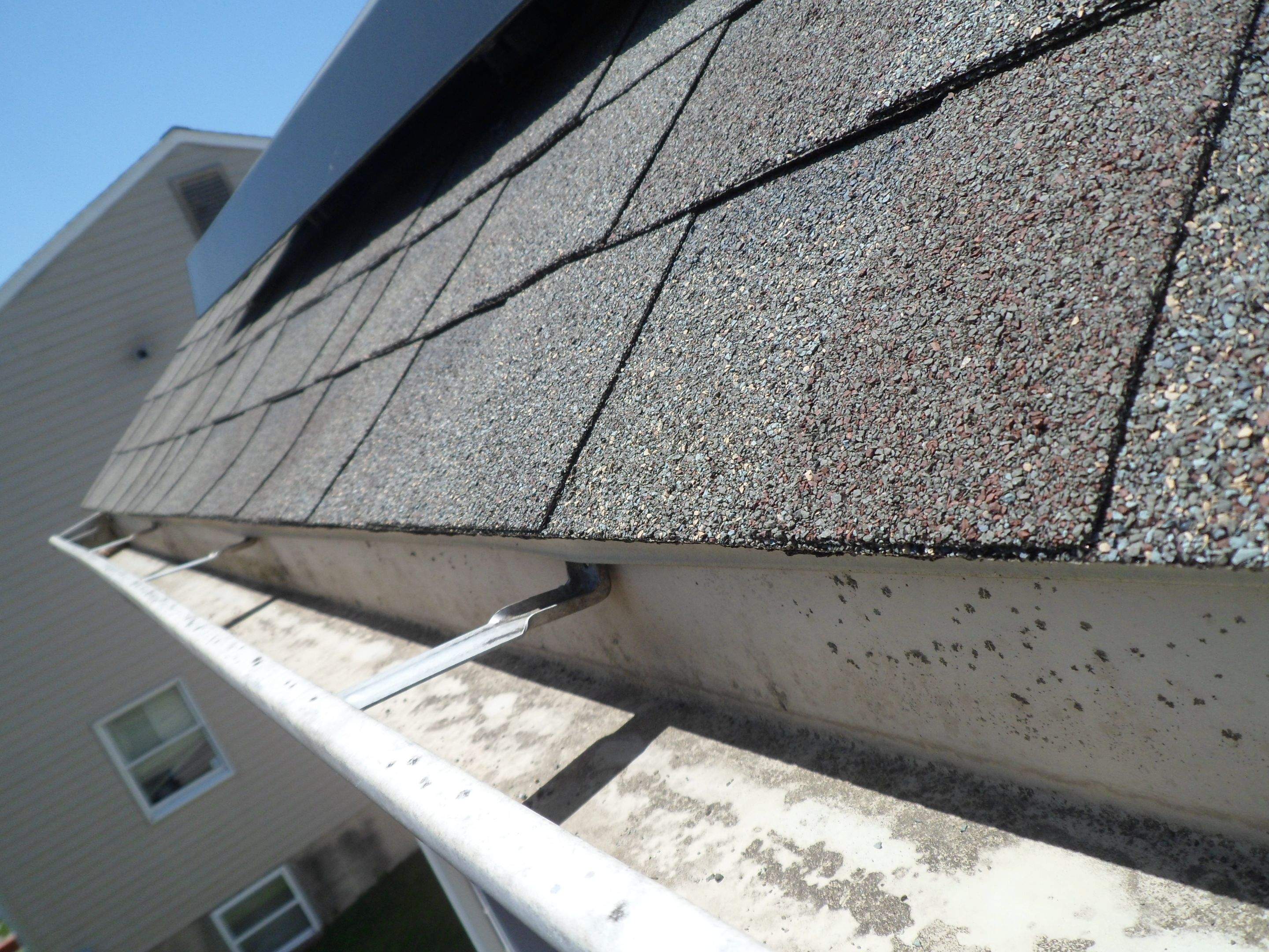 New Gutter guard  by Alpha Design Services