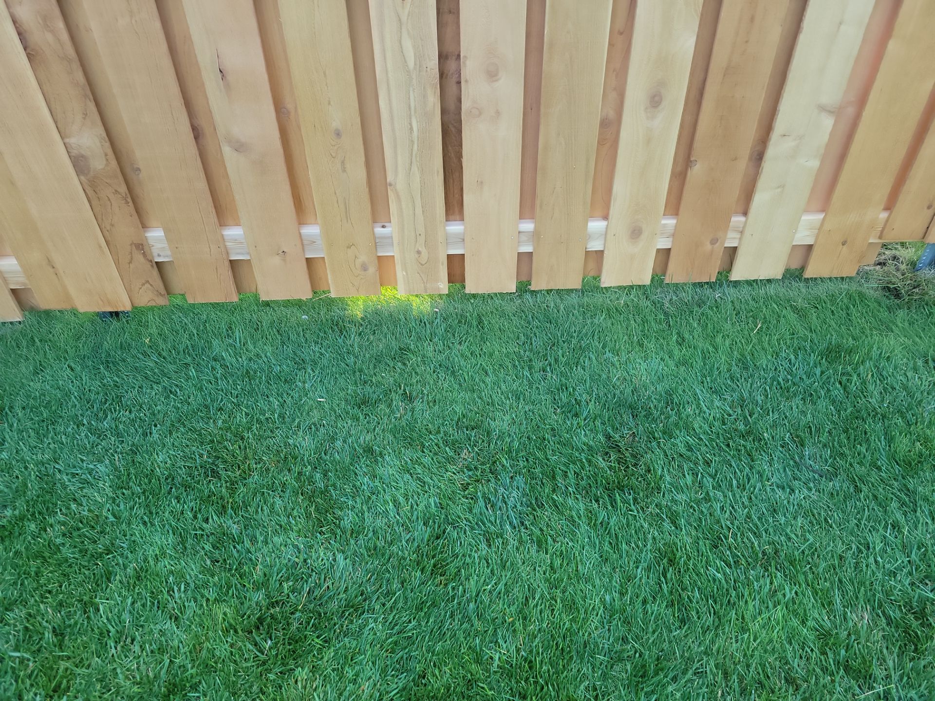 Unstained Cedar Wood Privacy Fence Installation in Cedar Falls by Perfect Picket Fence and Stain