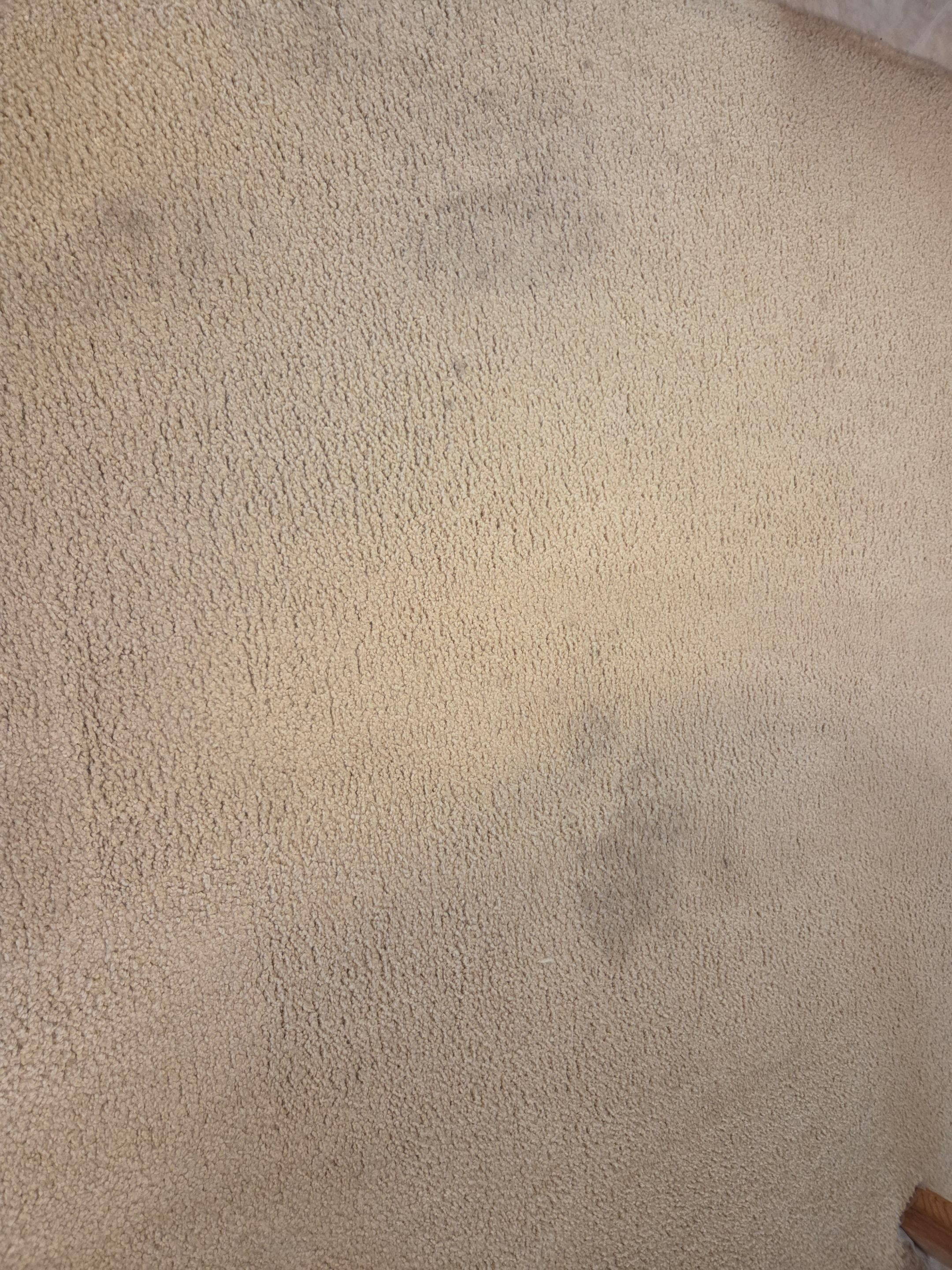 Carpet Cleaning and Stain Removal in Carmichael by Ardent Carpet Restore LLC