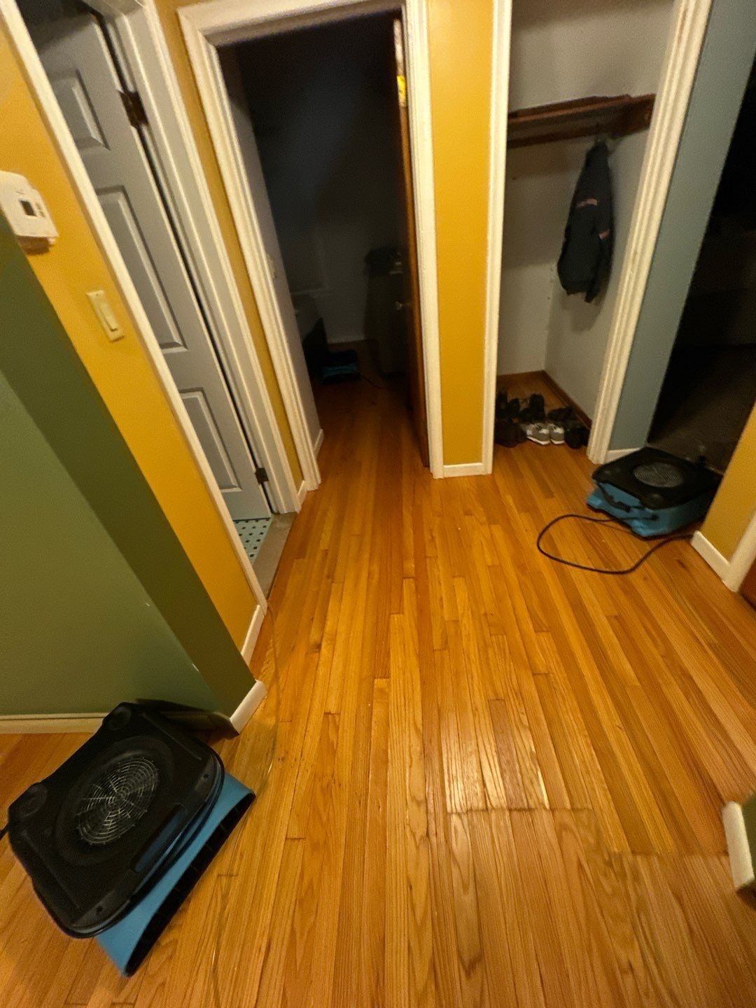 Project in Dearborn by EzDry Water Mitigation & Property Restoration