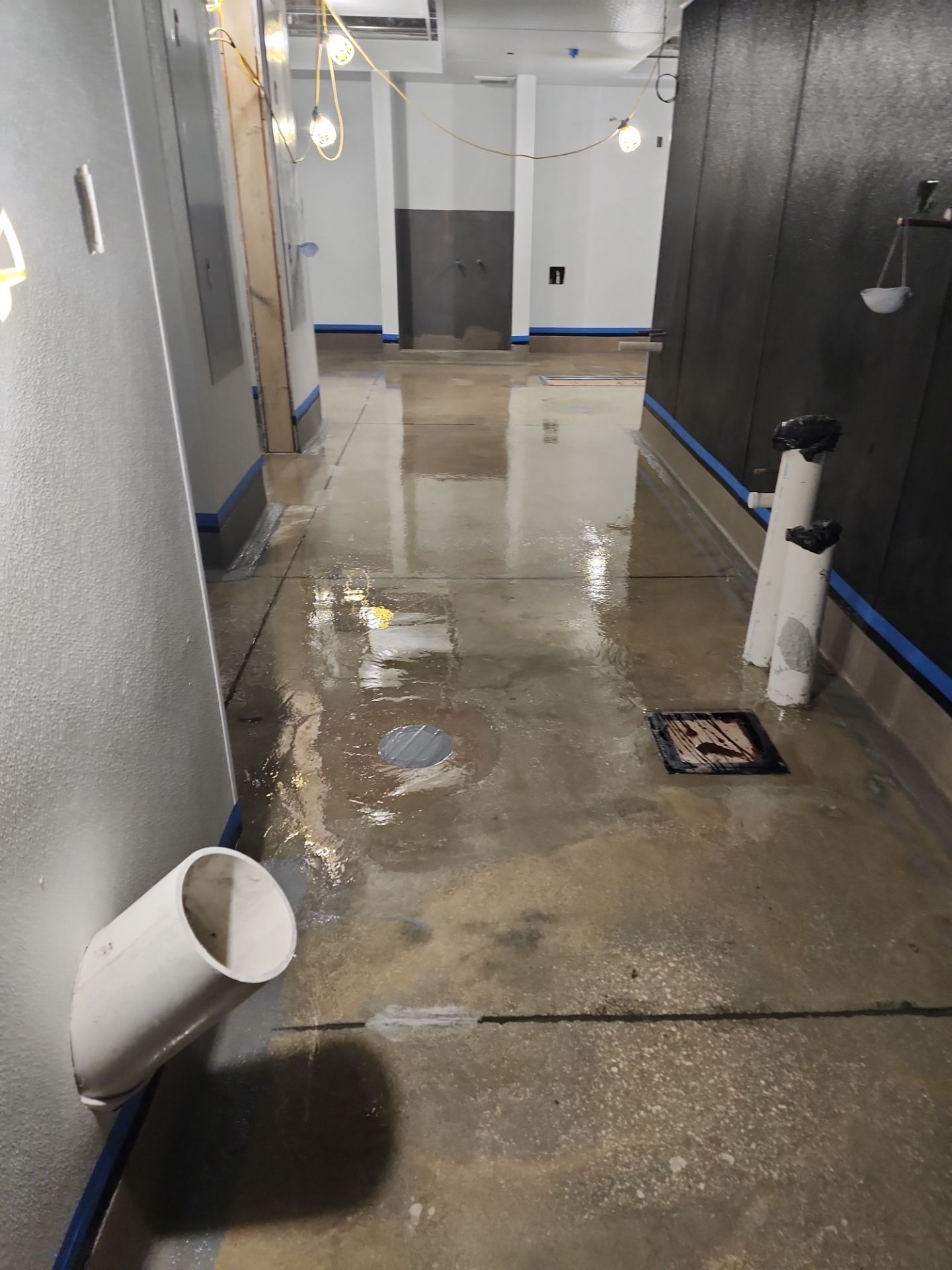 Tulio's Restaurant by Seamless Surfaces