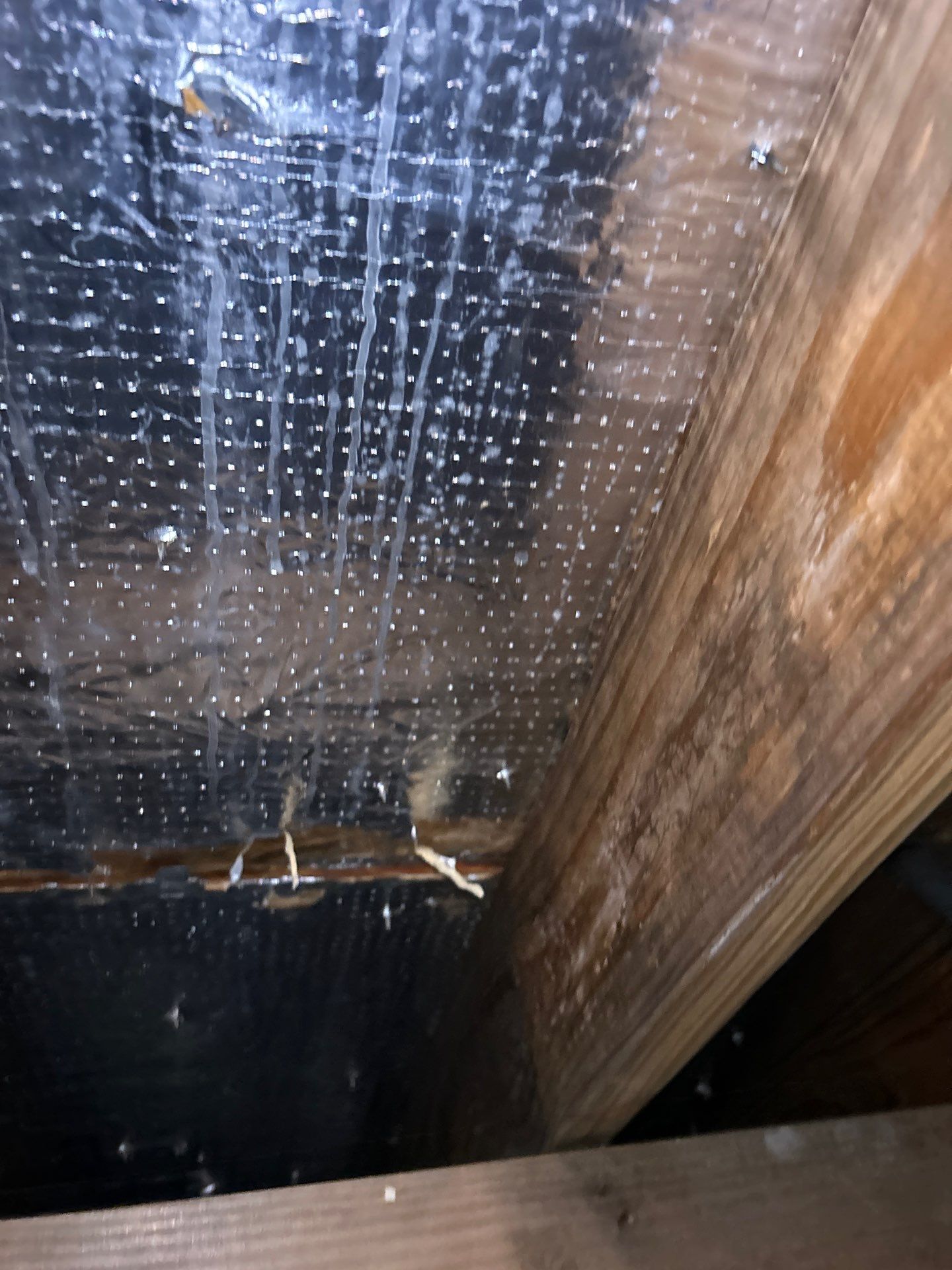 Roof Repair Houston by Roof Repair Company