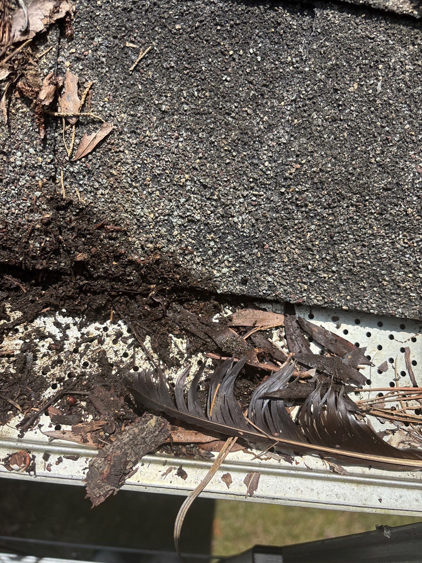 Project in Richmond by Roof Maxx of Midlothian