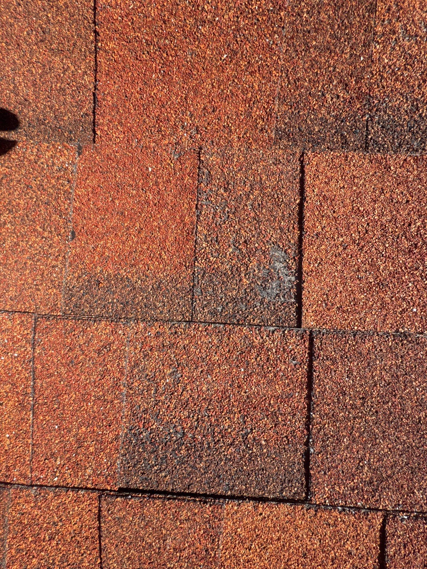 Project in Colorado Springs by Raptor Roofing 