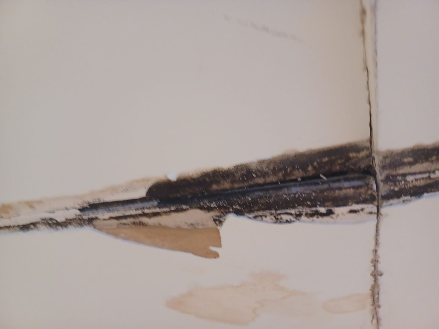 Project in West Bloomfield Township by EzDry Water Mitigation & Property Restoration