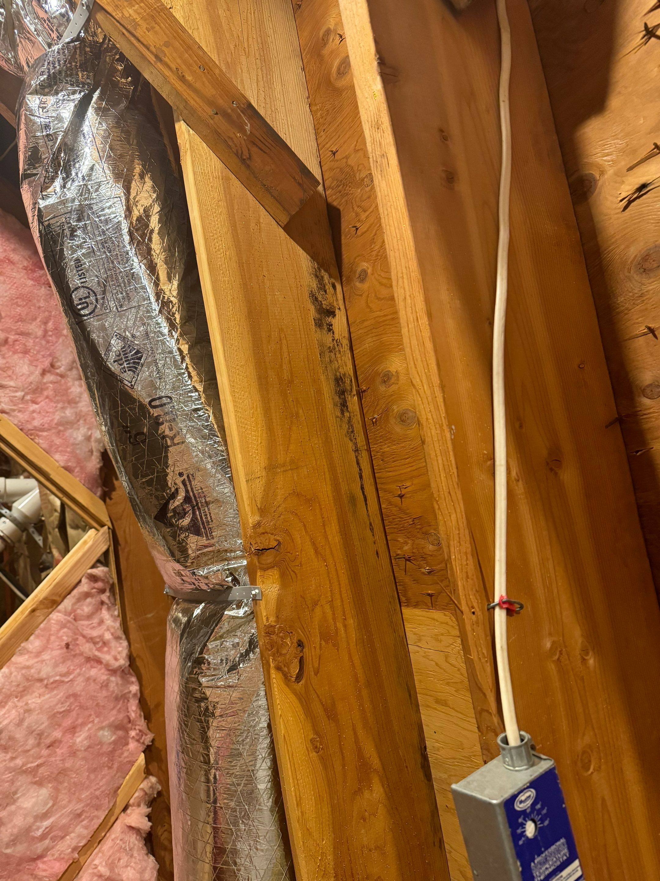 Bathroom Mold Remediation by Home Guarantee, LLC