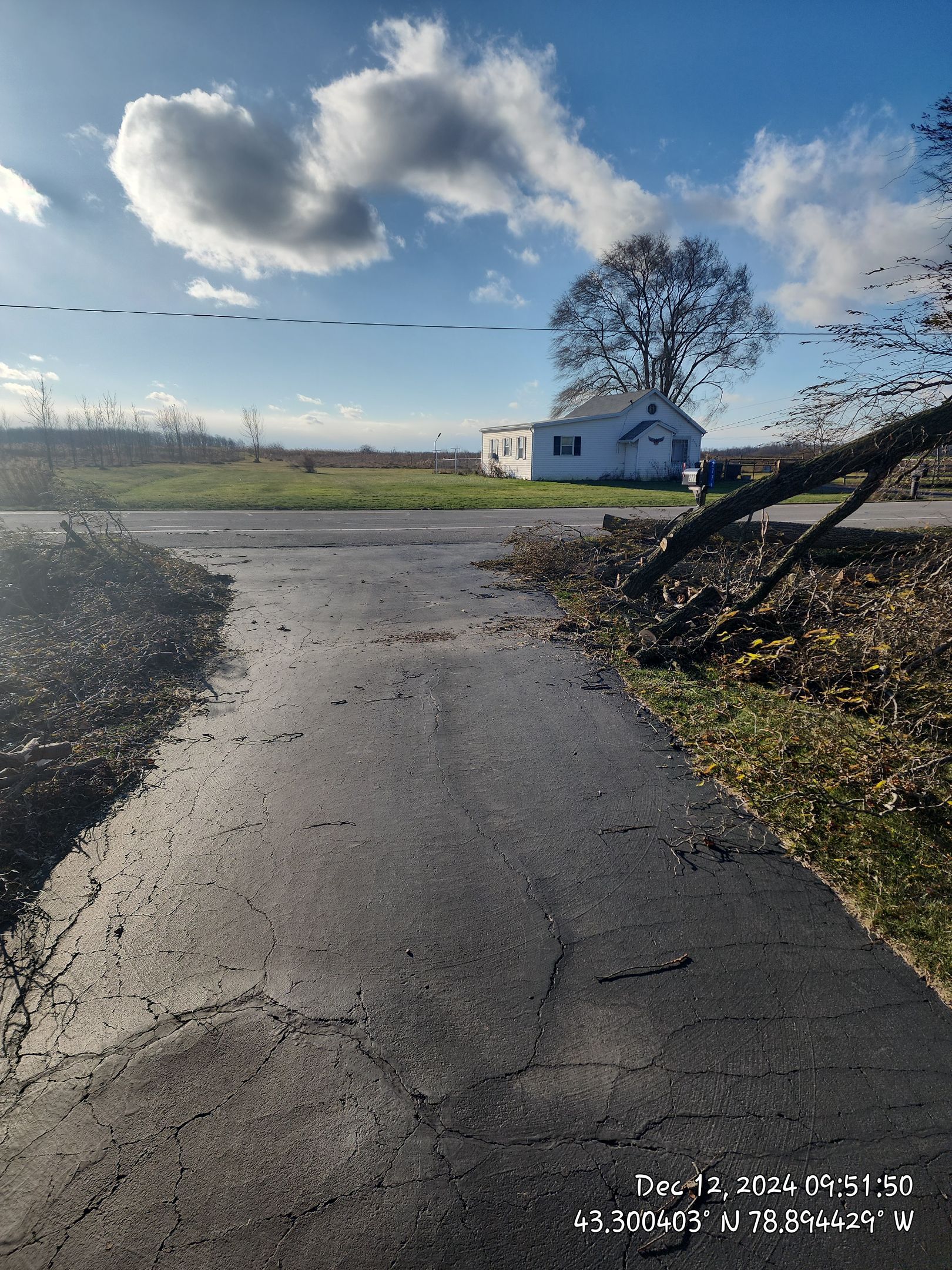Emergency Job: Clear driveway by Treeman Tom LLC