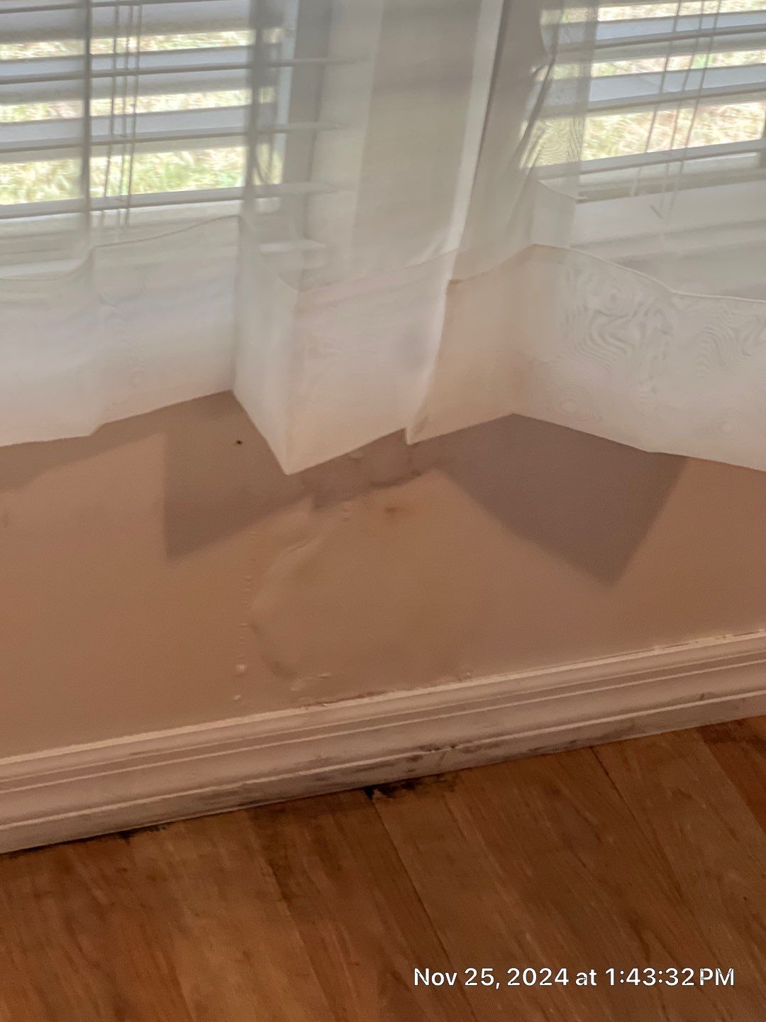 Mold Remediation Palmetto by Ampm Restoration Services 