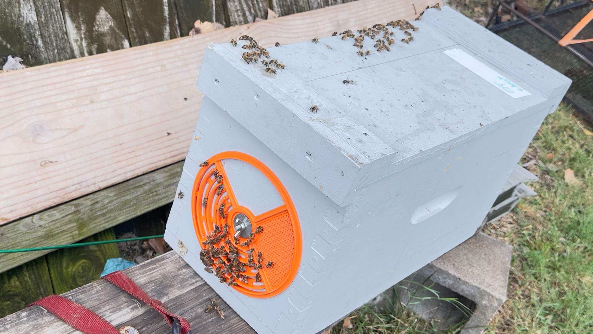Water Spigot Swarm by Rockwall Honey Bee Company
