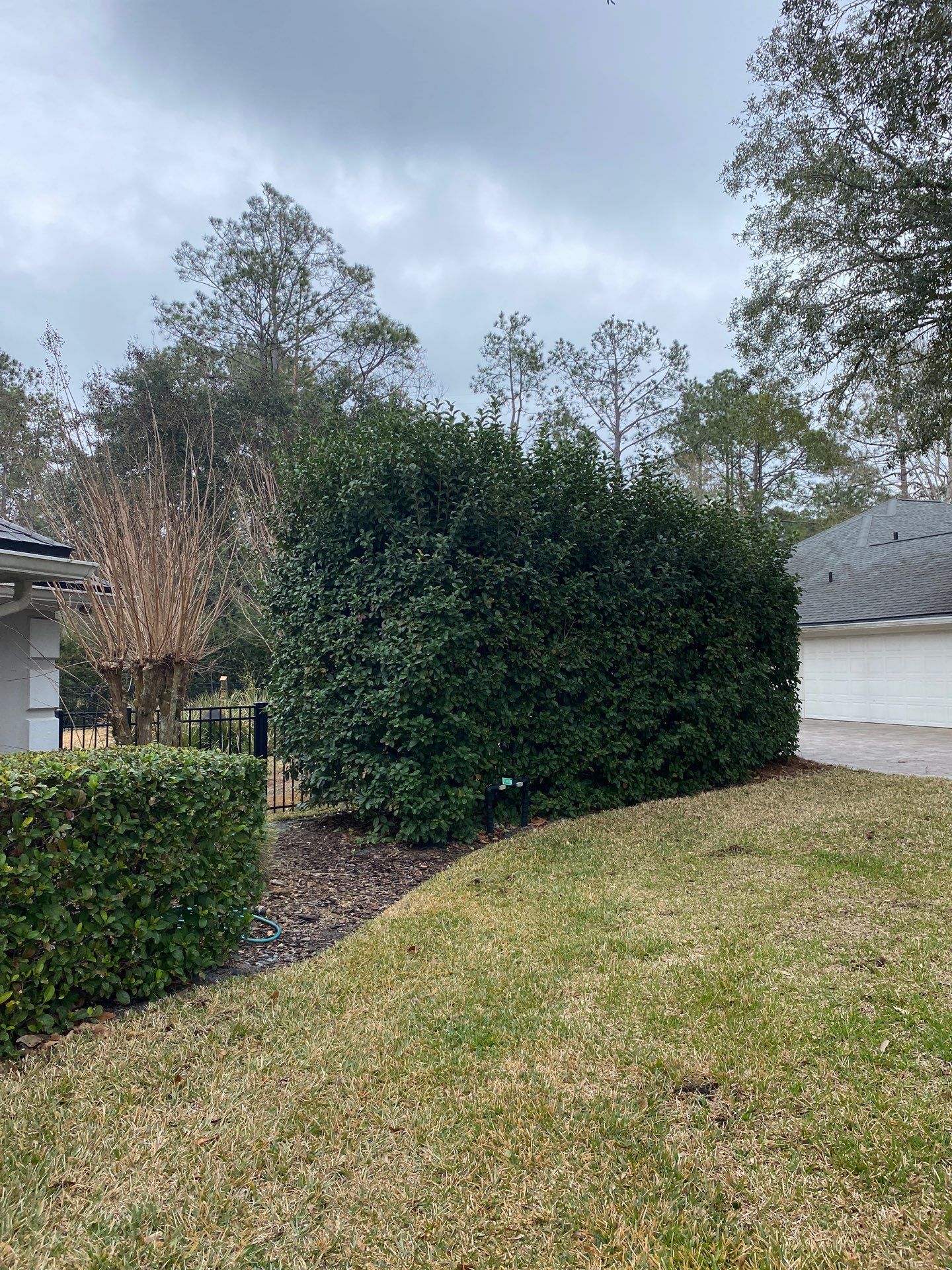 Residential | Hedge Trimming by ProGreen Services