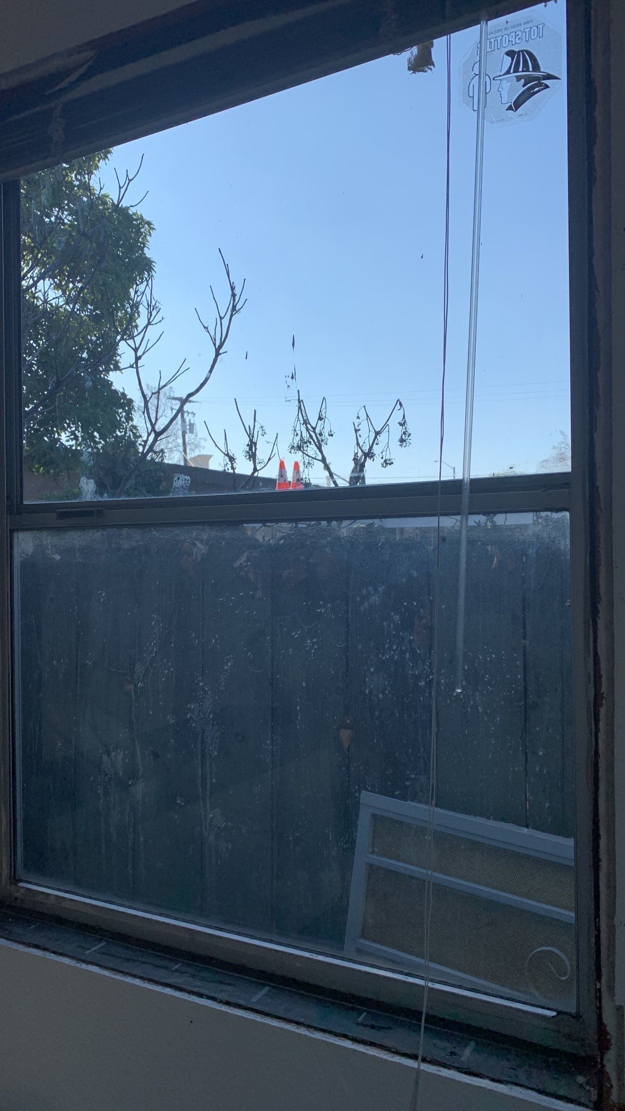 Bloom Team Listing 1539 Oriole by SpotFree Window Cleaning