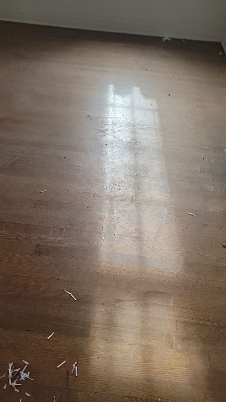 Mold Remediation by Accountable Home Services