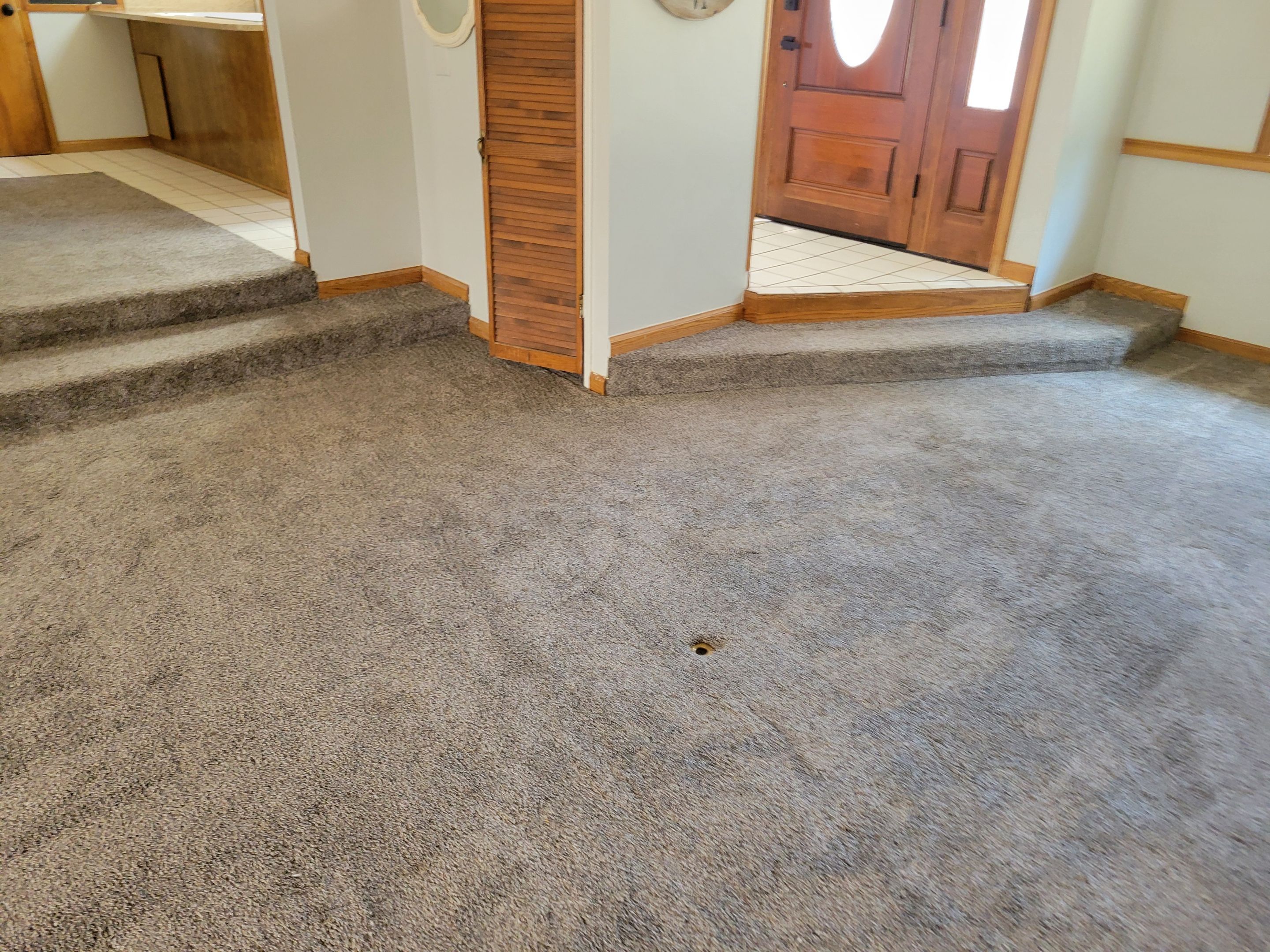 Carpet Cleaning for House Listing by Ardent Carpet Restore LLC