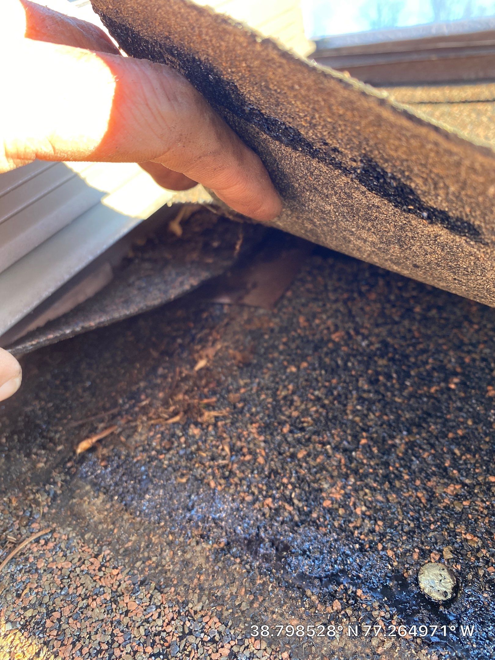 Burke: CertainTeed Landmark Pro Designer Shingles in Max Def Shenandoah by RM Banning, Inc.