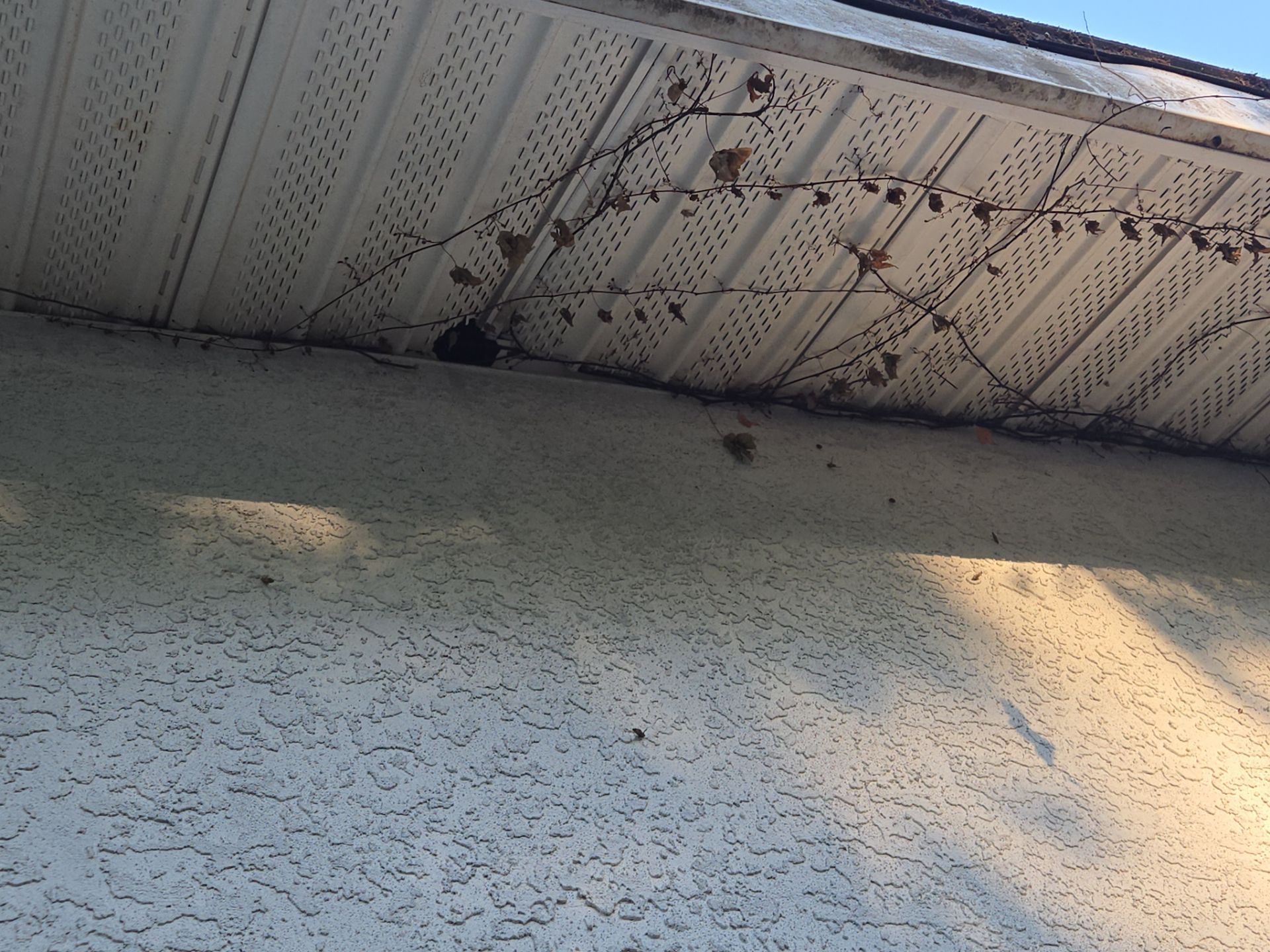 Project in St. Petersburg 33705 by Mitchell Roofing Company LLC 