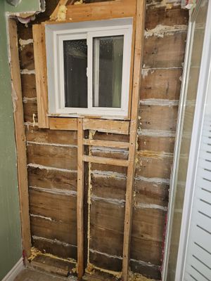 Project in Woodstock