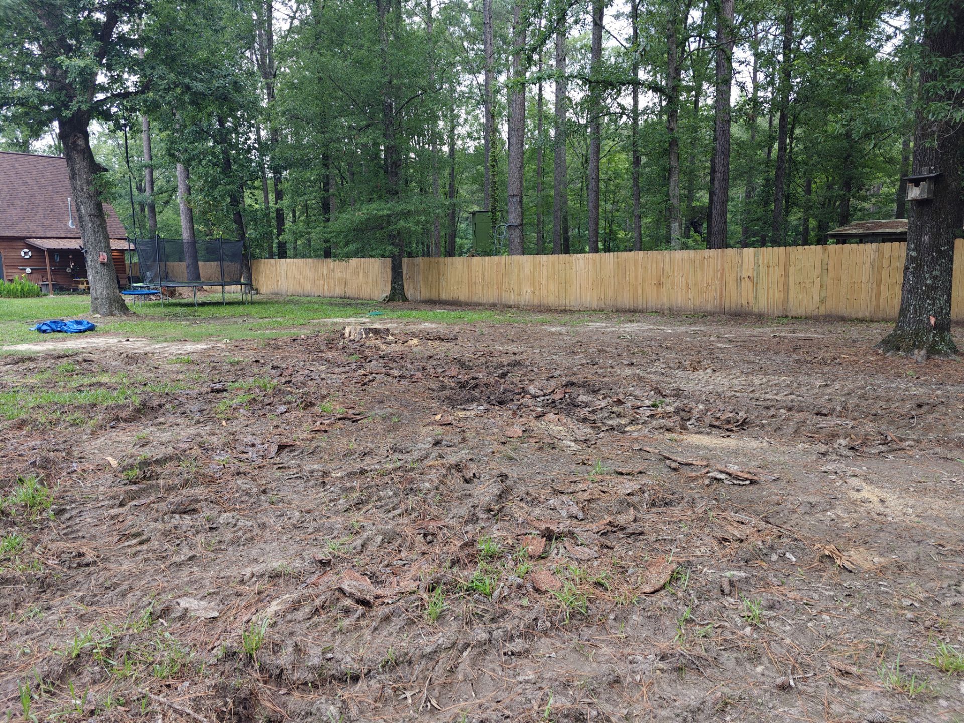 Weekly Landscaping  by College Bros Outdoor services